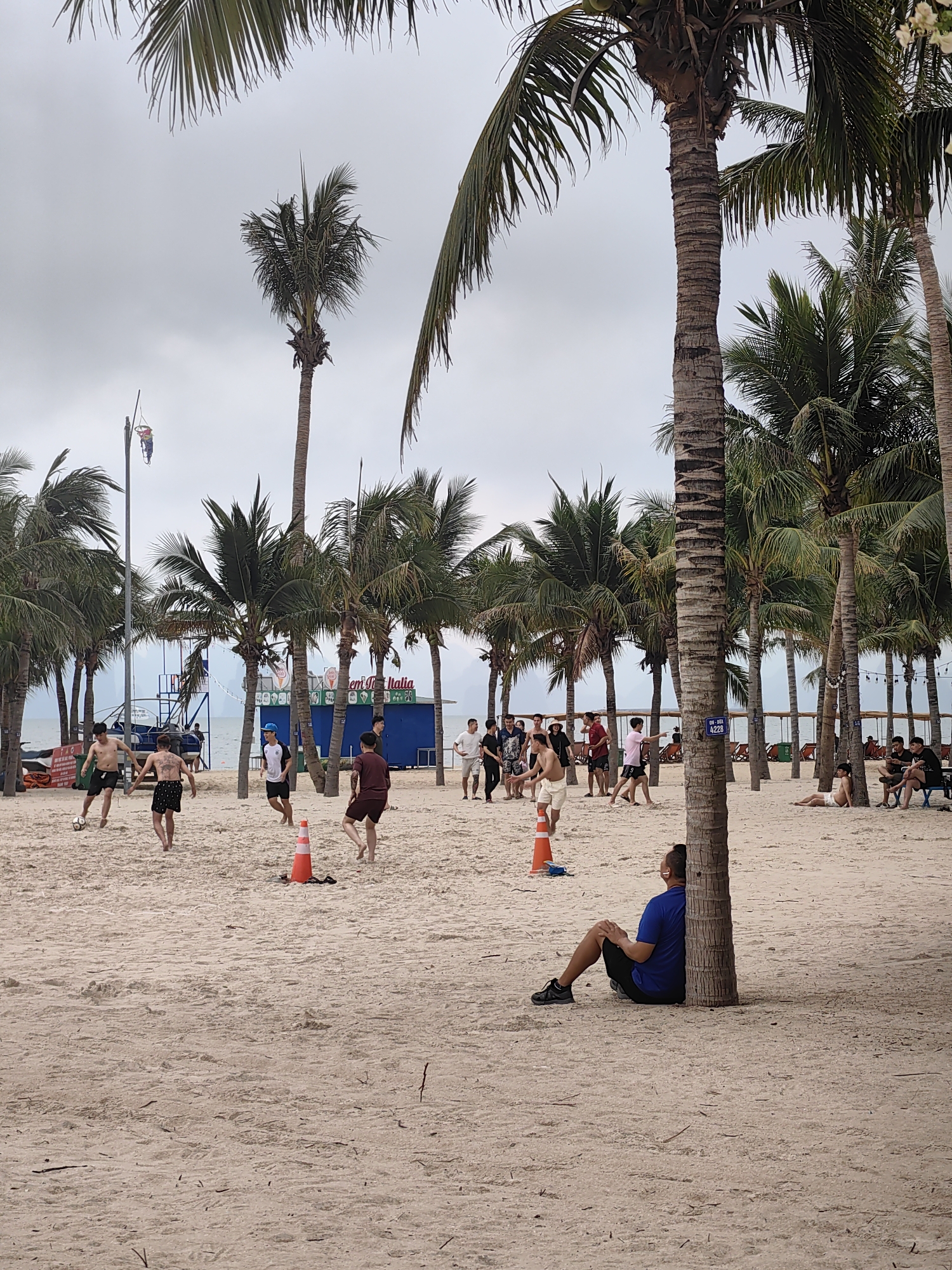 The image depicts a lively beach scene in Bai Chay Ward, Vietnam, under a cloudy, overcast sky. The foreground and mid-ground consist of light-colored sand, stretching towards the ocean visible in the background, where distant hills or landmasses meet the horizon.
Numerous tall palm trees are scattered across the beach, their trunks and fronds framing the activities. On the left side of the mid-ground, a group of young men is engaged in a casual game of soccer on the sand, with one player actively kicking the ball. Two orange traffic cones are placed on the sand, possibly marking the playing area.
Further back and to the right, other groups of people, mostly young men, are standing, walking, or socializing. Some are relaxing under the shade of palm trees on chairs or lying directly on the sand. In the immediate foreground on the right, a man in a blue shirt and black shorts sits leaning against the base of a palm tree, observing the scene.
A light pole with a decorative, colorful figure hangs on the left side of the image. Behind some palm trees on the right, a small blue building, likely a kiosk, is visible. The words "GELATO" and "ITALIA" are clearly displayed on its facade, indicating it is an ice cream or gelato stall. A small white sign with black text, reading "ĐH - HOA" and "4228", is attached to one of the palm tree trunks. The overall ambiance is one of leisure and recreation on a beach day.