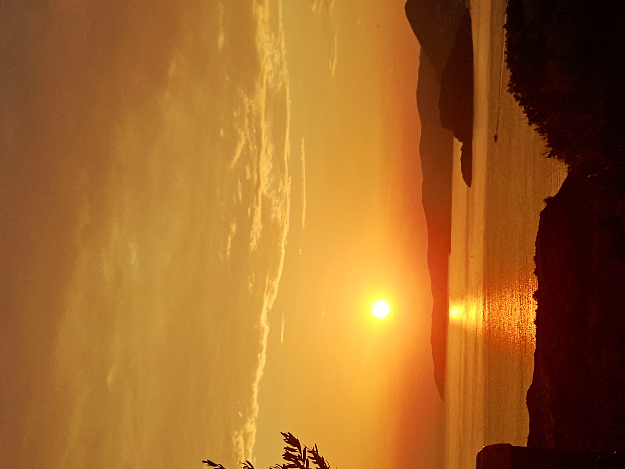 The image captures a sunset over the Adriatic Sea, with a view towards the coastline near the village of Drobnići, Montenegro. The sun, a bright orb, is setting on the left side of the frame, casting a warm, golden light across the sky and water. Wispy clouds are scattered throughout the orange and yellow sky. In the foreground, silhouetted against the sunset, is dark foliage and what appears to be part of a stone structure on the left. The sea is calm, reflecting the vibrant colors of the sky, and a prominent sunbeam stretches across its surface. In the distance, the silhouettes of hills and mountains form a rugged coastline, with one distinct island or rocky outcrop jutting out into the sea. A small boat is visible in the middle distance, creating a wake on the water. The overall scene is one of natural beauty and tranquility, bathed in the warm glow of the setting sun.