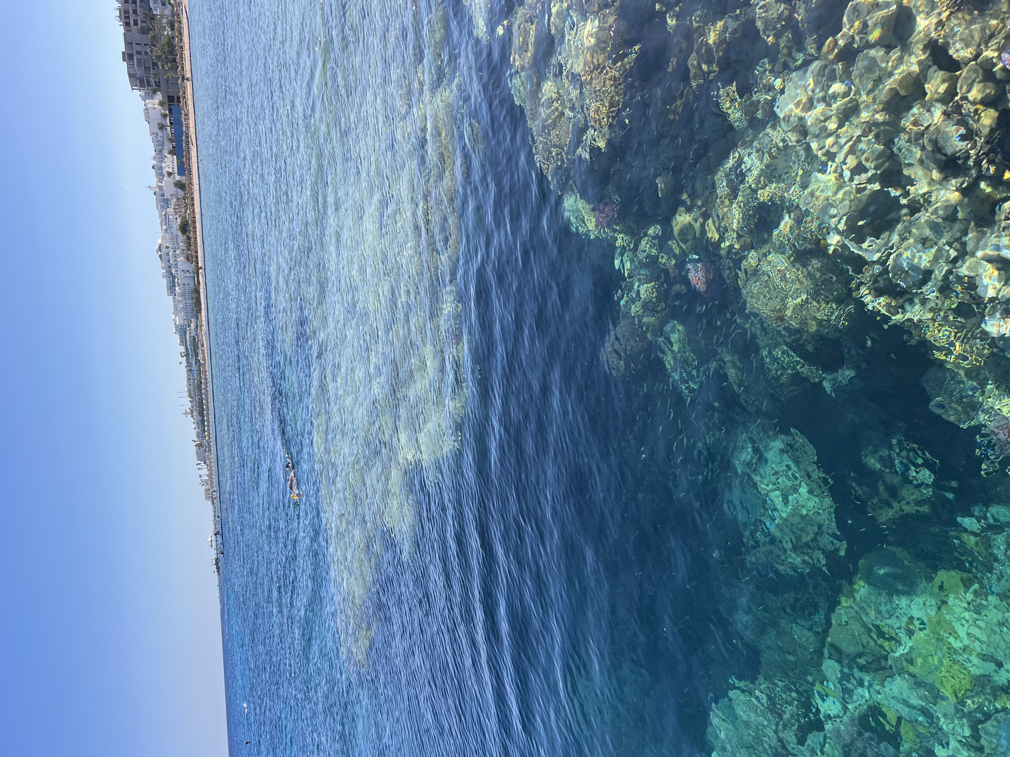 The image shows a clear, blue body of water with a shoreline in the background. The shoreline is lined with white buildings, palm trees, and a walkway, suggesting a resort or city. The water is shallow near the shore, revealing sandy patches and what appears to be submerged vegetation or debris.
Further out, the water becomes deeper and reveals a vibrant coral reef teeming with small fish. The coral formations are diverse in shape and color, ranging from yellows and greens to purples, indicating a healthy marine ecosystem. Sunlight penetrates the water, illuminating the reef and the fish swimming amongst it.
In the distance, several people can be seen in the water, some appearing to be swimming or snorkeling. There is a clear blue sky, suggesting fair weather and daytime. The overall scene is serene and evokes a sense of tropical paradise and natural beauty. The location is identified as Sharm El Sheikh, Egypt, a popular tourist destination known for its coral reefs and diving sites.