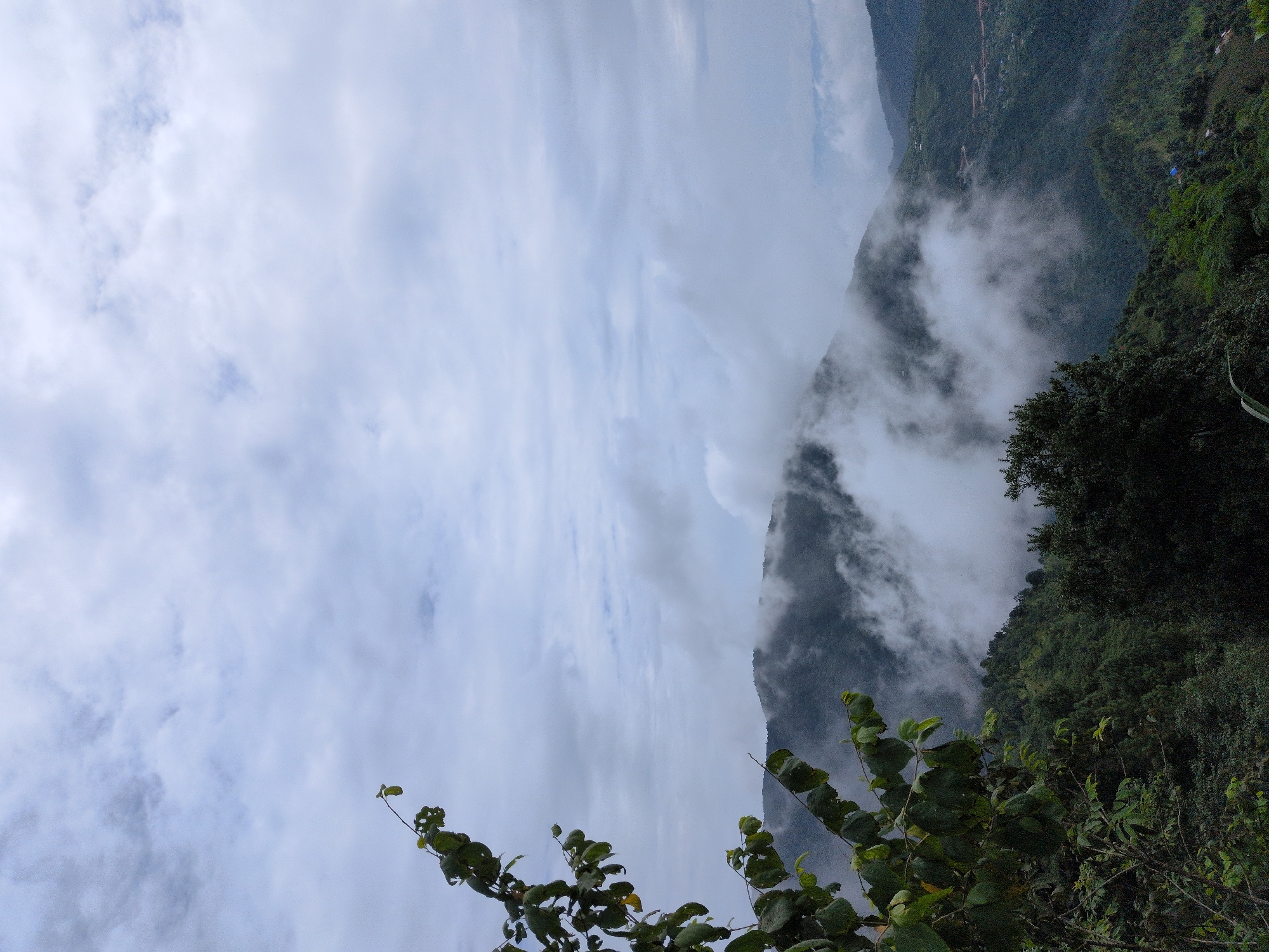The image is a landscape photograph taken in Kapurkot, Nepal. In the foreground, the branches of a leafy green plant are visible on the left side of the frame, extending upwards and to the right. Behind the plant, a mountain range unfolds, partially obscured by swirling white clouds and mist. The mountains are covered in dense green vegetation. In the distance, there are glimpses of human settlements and winding roads visible on the slopes of the mountains. The sky is overcast with grey and white clouds. The overall impression is one of a serene and misty mountain environment.