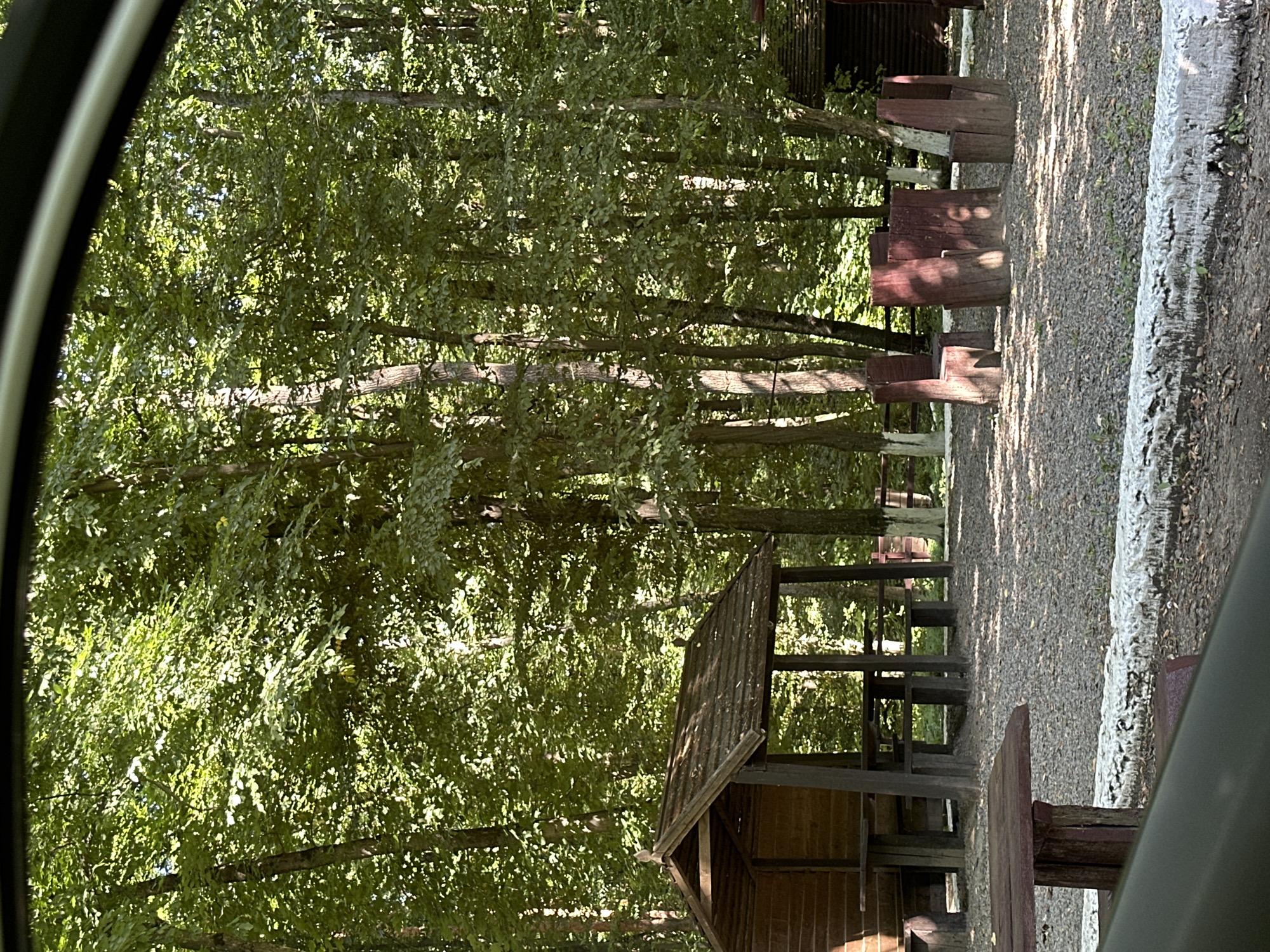 The image shows an outdoor seating area in a wooded environment, likely a park or recreational area. In the foreground, a weathered wooden picnic table is visible, with a stone border running along the bottom edge of the frame. To the left, a rustic wooden gazebo with a sloped roof and open sides contains a built-in table and benches. Further into the background, there are several log-like structures that appear to be carved into chairs and a table. The ground is covered with gravel and fallen leaves. The area is surrounded by dense green trees, with sunlight filtering through the canopy, creating dappled shadows. In the background, a second, smaller wooden structure can be seen. There are no people or animals visible in the image. The overall impression is one of a quiet, natural setting for outdoor gatherings.