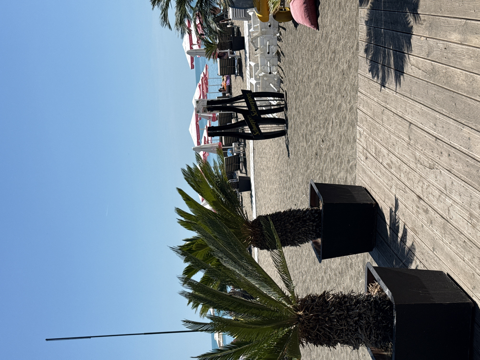 The image depicts a sunny day at a beach in Burgas, Bulgaria, likely along the Black Sea coast. In the foreground, a wooden deck runs along the bottom of the frame, with shadows of palm fronds cast upon it. Two potted palm plants are positioned on the sand next to the deck.
Beyond the palms, the sandy beach is lined with rows of lounge chairs and red and white striped umbrellas, indicating a popular recreational area. In the mid-ground, a decorative wooden sign shaped like two stacked bottles, with "Schweppes" written in yellow, stands on the sand. Further back, the calm, blue sea meets the horizon under a clear, bright sky. There are a few individuals visible on the beach, some relaxing on lounge chairs. The overall scene conveys a relaxed, seaside atmosphere.