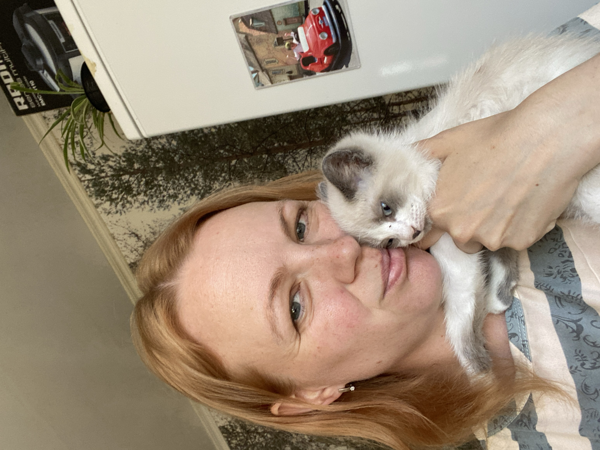 A woman with auburn hair and blue eyes is holding a fluffy white and grey kitten. She is looking towards the camera with a slight smile. The kitten is nestled against her neck and chest. The background shows a wall with a tree-patterned wallpaper and a white refrigerator with a magnet on it. The magnet is a picture of a red car with two people in it, set against a backdrop of buildings. A small green plant is also visible on top of the refrigerator. The overall scene appears to be indoors, likely in a home environment.