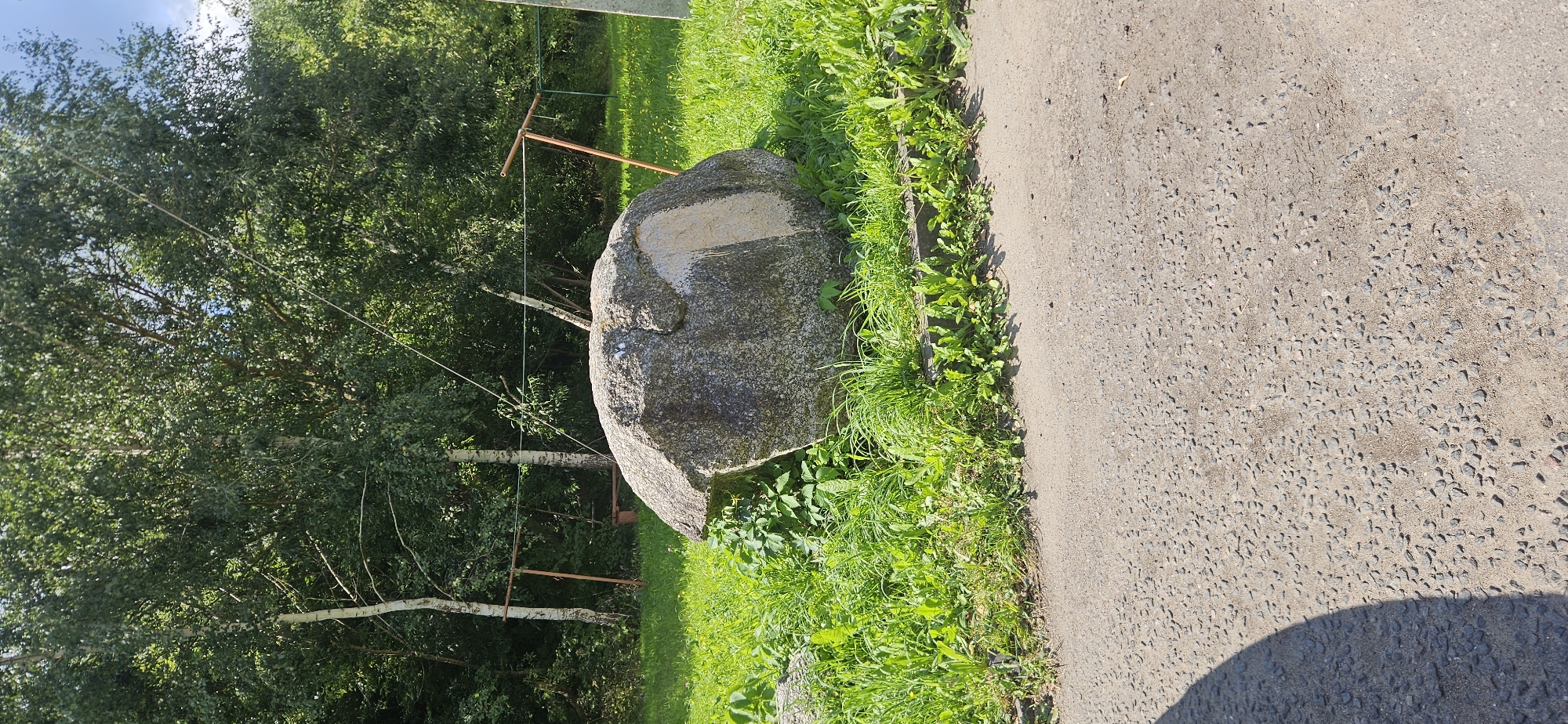 An outdoor, eye-level, medium shot captures a large, gray, irregular-shaped boulder resting in vibrant green grass. The boulder is textured with darker and lighter speckles and features a lighter, smoother section on its right side, possibly a carved marking or a naturally lighter patch of rock. The boulder is positioned on a slightly elevated concrete curb, from which lush green grass and weeds grow. In the background, a dirt path or road occupies the foreground, with a dark shadow cast on its left side. Beyond the grass and boulder, a dense line of deciduous trees, primarily birches with white trunks, forms a backdrop. Scattered amongst the trees are elements of human intervention: a rudimentary wooden structure resembling a clothesline or swing frame made of horizontal poles supported by vertical posts, and a network of thin wires crisscrossing the scene. The overall environment suggests a rural or park-like setting within the city of Vitsebsk, Belarus, on a bright, sunny day.