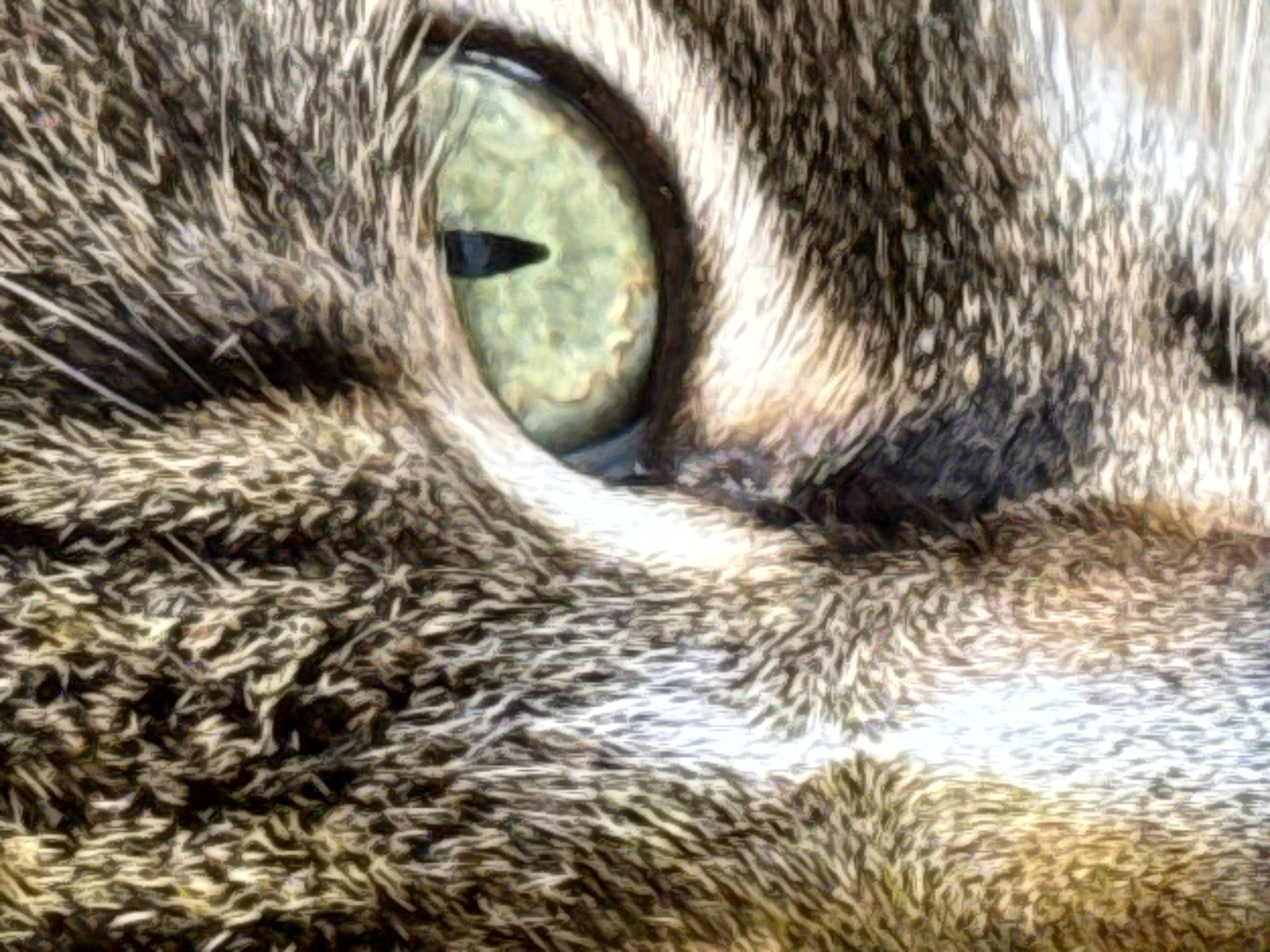 The image is a close-up, digitally stylized portrait of a cat's eye and surrounding fur. The cat has green eyes with a vertical black pupil. The fur is a mix of brown, black, and white stripes, with some areas appearing more textured and painterly due to the digital effect. There is no indication of the city of Votkinsk, Russia, or any other specific location. The image is a still photograph of an animal.