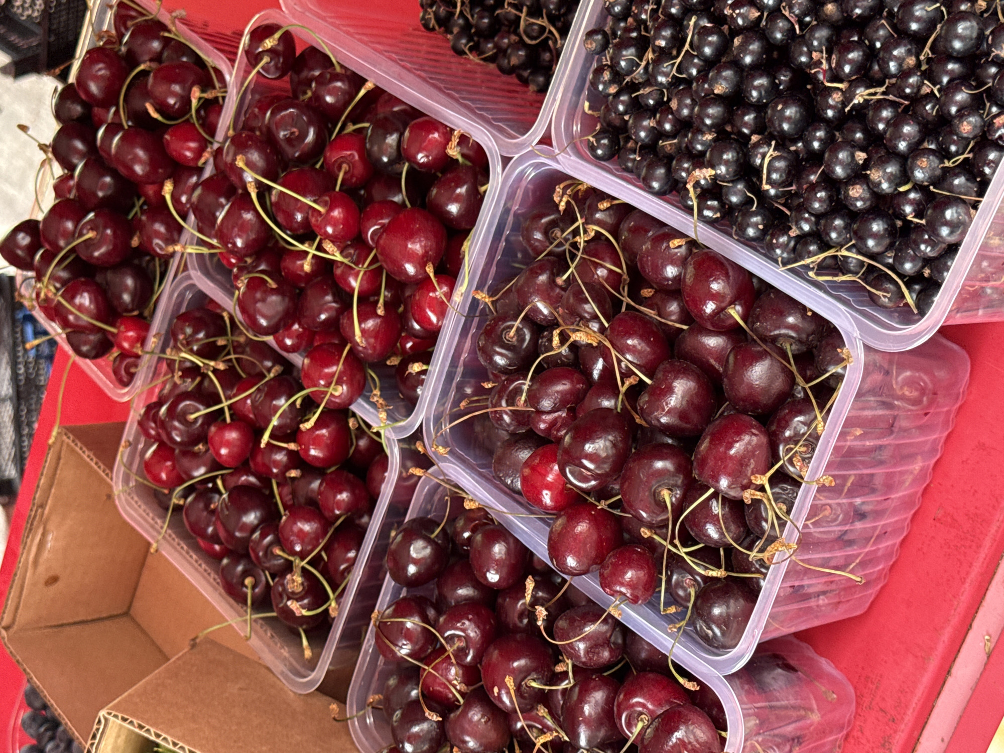 This image displays an outdoor market stall in Moscow, Russia, showcasing a variety of fresh berries for sale. In the foreground, several clear plastic containers are filled with dark red cherries, some with stems still attached. To the right, another container holds a dense collection of black currants. In the background, partially visible cardboard boxes suggest the storage or transport of produce. The stall appears to be set up on a red surface, likely a table or counter, with a blurred background indicating other market activity. The overall scene depicts a vibrant, agricultural marketplace.