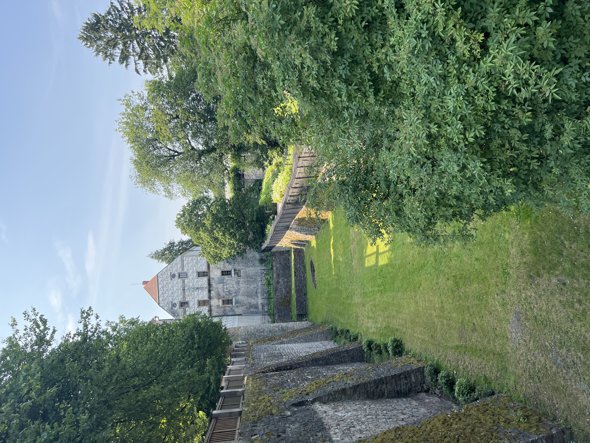 This image shows the Náchod Castle in Náchod, Czechia, a view of the castle's ramparts and dry moat, looking towards the main building. The ramparts are constructed of stone and are partially covered in moss. A wooden fence runs along the top of the ramparts. The dry moat is a grassy area with some trees and bushes. The main castle building is visible in the background, with a distinctive patterned facade and a red tile roof. The sky is blue with some clouds. The overall impression is one of historical preservation and natural beauty.