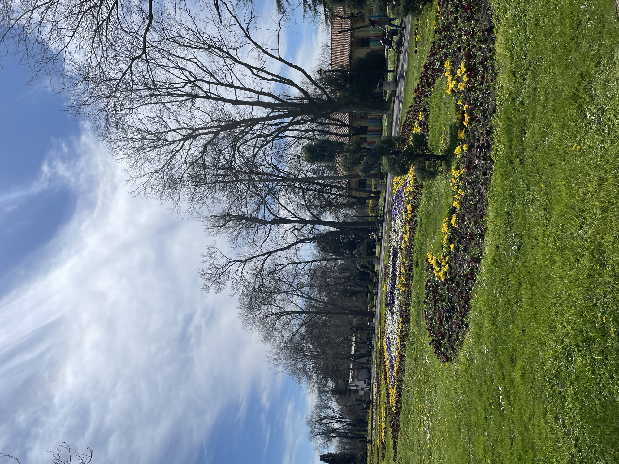 The image depicts a park in Burgas, Bulgaria, characterized by a flowerbed displaying a pattern of yellow, red, white, and purple flowers. Adjacent to the flowerbed is a stretch of green grass. A paved pathway runs parallel to the flowers, with trees lining the path. The trees have bare branches, suggesting it is either late autumn or early spring. Buildings are visible in the background, some with colorful facades. Above, the sky is a mix of blue and white clouds.