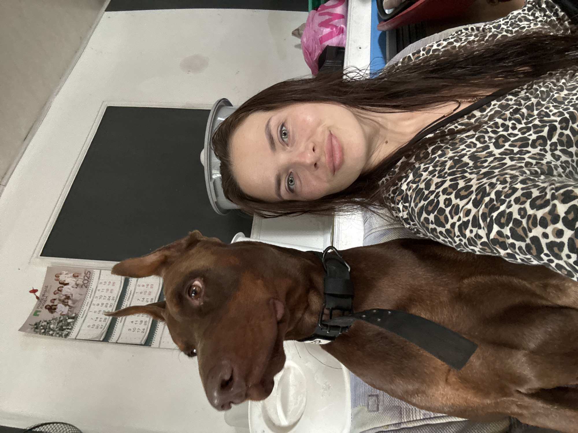 A brown Doberman Pinscher, wearing a black collar with a decorative black strip, sits next to a woman with long brown hair. The woman is wearing a leopard-print robe and is looking at the camera. Behind them, a calendar is hanging on the wall, showing the year 2025. The background is cluttered with various objects, including plastic containers and bags. The scene appears to be indoors, possibly in a residential setting. There is no indication of the specific location in the city of Rusalevka, Russia.