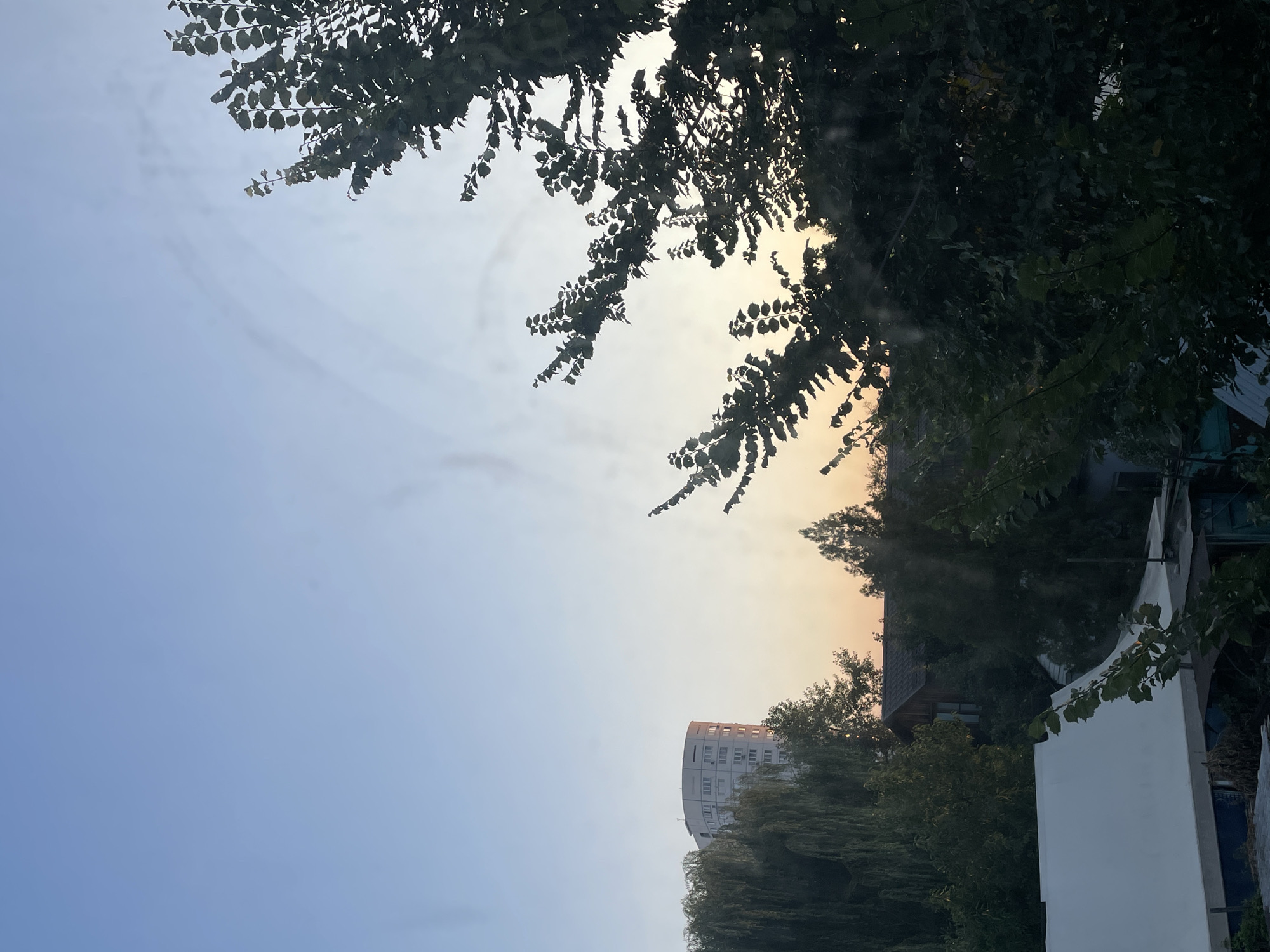The image depicts a sunset over a residential area with a prominent multi-story building in the background. A large, dark green tree occupies the foreground, its branches silhouetted against the light sky. In the middle ground, several houses with dark roofs are visible, surrounded by more greenery. A tall, curved white building with numerous windows stands to the left of the frame, partially obscured by trees. The sky transitions from a clear light blue at the top to a warm orange and yellow hue near the horizon, indicating the time of day. There are no people or animals visible in the image. The overall scene suggests a view from a window looking out over a neighborhood during sunset.