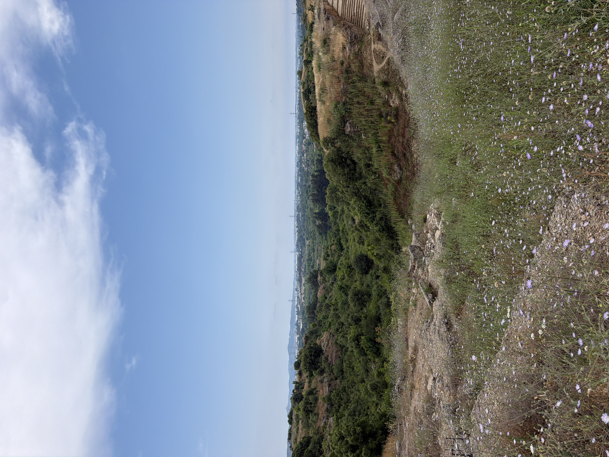 The image depicts a panoramic view of the ancient city of Aspendos, located near Serik, Turkey. In the foreground, a field of wild, purple and white wildflowers carpets the rocky terrain. The middle ground reveals a lush, green valley filled with trees and shrubs, indicative of a fertile landscape. In the distance, the cityscape of Aspendos is visible, characterized by historical ruins and archaeological sites, hinting at the city's rich past. The background is dominated by a clear blue sky with scattered white clouds, suggesting a pleasant, sunny day. The overall scene conveys a sense of natural beauty and historical significance.