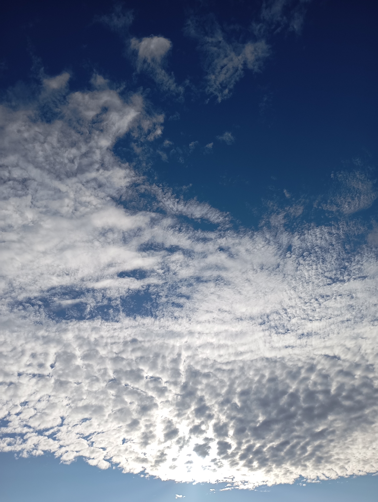 The image is a low-angle shot of a sky filled with white and gray clouds against a deep blue background. The clouds are varied in texture and density, with some appearing wispy and thin, while others are more compact and textured, forming rows or patches. Towards the bottom of the frame, the clouds are illuminated by sunlight, creating a bright, almost glowing effect, and casting shadows. The lower part of the sky transitions to a lighter blue, suggesting the horizon is below the frame. There are no people, subjects, or objects visible in the image, nor any identifiable landmarks or environmental features that would indicate a specific location in the city of Фоки, Russia. The scene is solely focused on the sky and cloud formations.