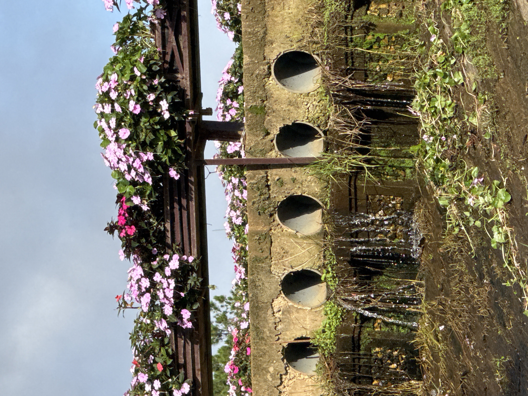 The image shows a concrete structure with four circular drainage pipes. Water is flowing from the pipes and cascading down. Above the pipes, a metal structure supports a dense planting of pink and magenta flowers, with some scattered red flowers. The sky is blue with some clouds. The scene appears to be outdoors, likely in a landscaped area. Based on the presence of impatiens flowers, commonly found in the region and a staple of Da Lat's flower gardens, and the style of the drainage and floral arrangement, this scene is likely located in Da Lat, Vietnam, possibly in a park or public garden known for its floral displays.