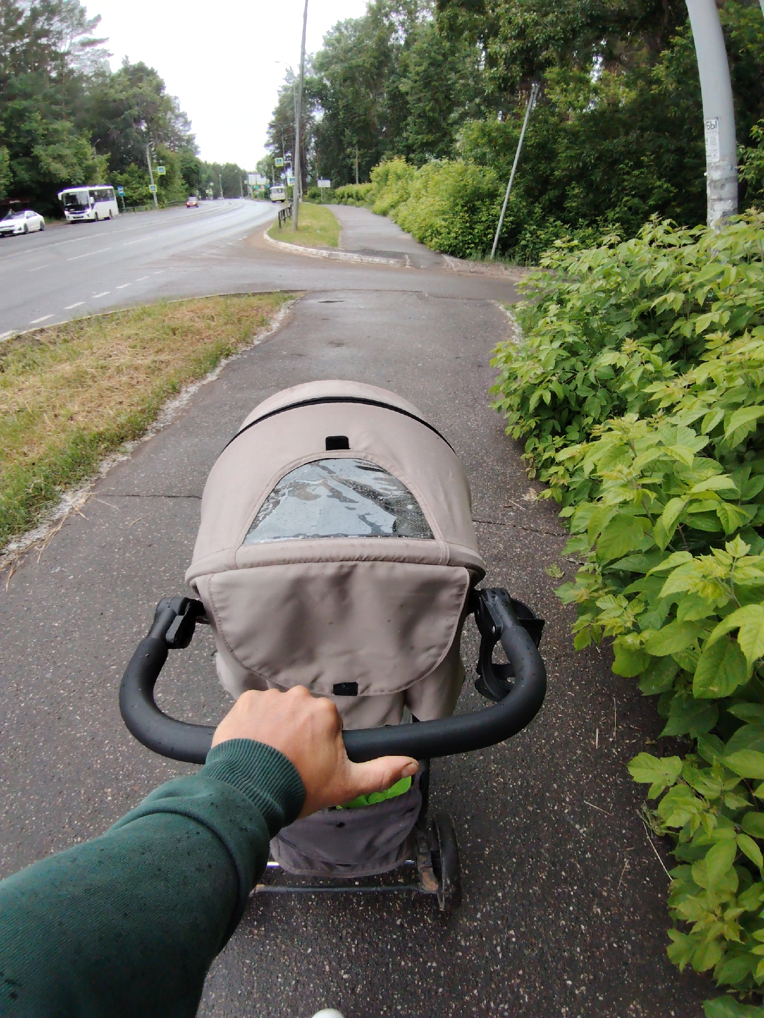 The image captures a first-person perspective of someone pushing a baby stroller along a wet paved sidewalk. The person's right arm, wearing a dark green long-sleeved shirt with a ribbed cuff, is visible gripping the black handle of the stroller. The stroller itself is light beige/tan, featuring a canopy with a clear plastic window that shows water droplets, indicating recent rain or drizzle. The lower part of the stroller is dark grey.
To the left of the sidewalk is a damp paved road, which curves to the right in the distance. Traffic is present, with a white car and a white bus visible closer to the viewer, and a red car and another white bus further down the road. Several blue rectangular road signs with white symbols, possibly indicating bus stops or pedestrian crossings, are spaced along the roadside. The area is heavily vegetated with dense green bushes lining the right side of the sidewalk and tall trees forming a lush backdrop on both sides of the road.
The weather appears overcast, providing diffused light, and the wet surfaces confirm rainy conditions. On a utility pole beside the road, the Cyrillic letters "БЫ" are visible vertically on a white label or sign. The scene depicts a routine walk in Chaikovsky, Russia, likely during the daytime.