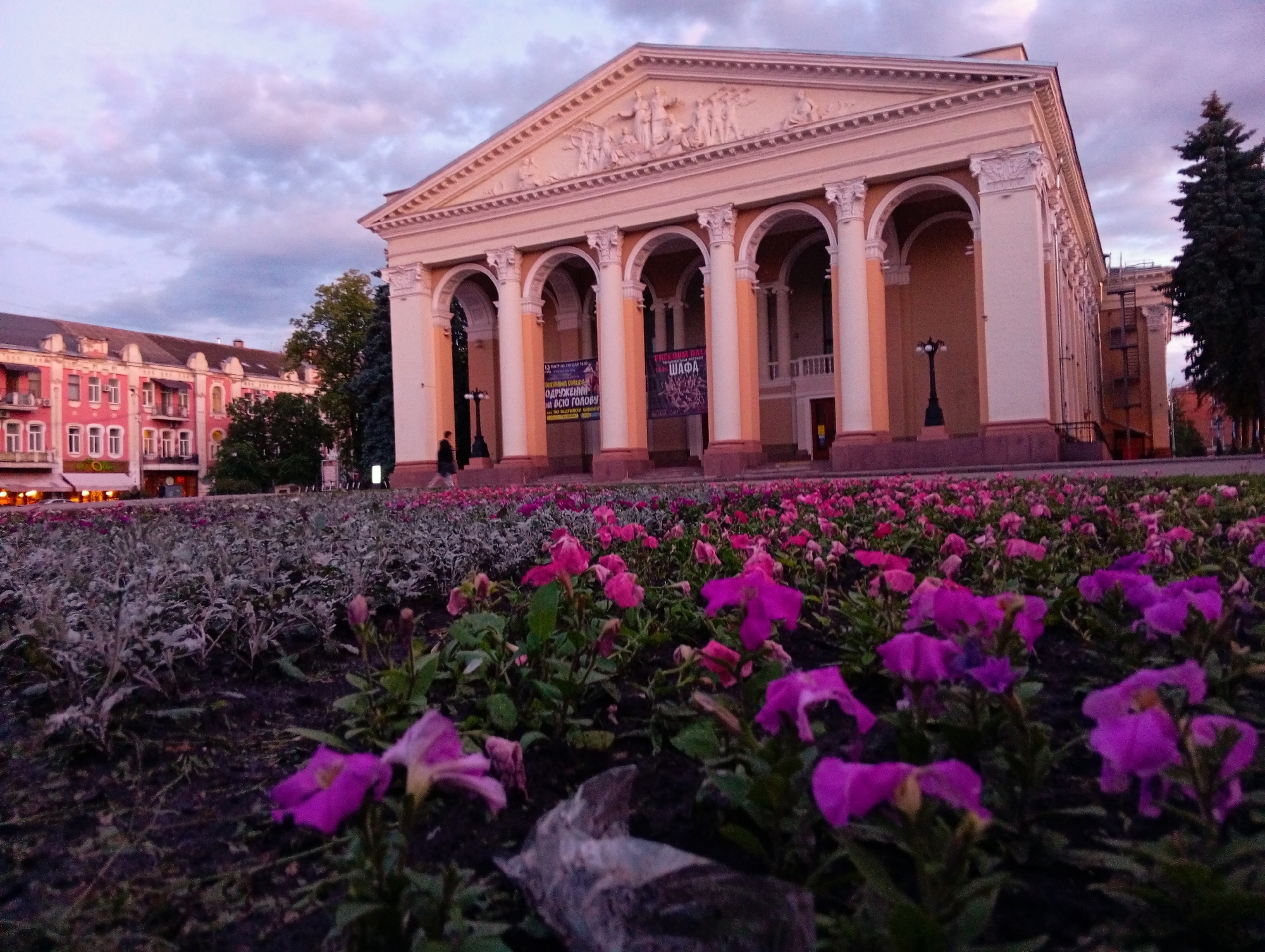 The image depicts a grand classical-style building, likely a theater or cultural center, at dusk in Poltava, Ukraine. The viewpoint is low, looking over beds of vibrant pink and purple flowers in the foreground, with some silvery-leafed plants also visible.
The central building features a prominent portico with several tall, cream-colored columns with ornate capitals, framing arched entrances. A triangular pediment above the columns showcases an intricate bas-relief sculpture. Two large banners hang from the portico: the left one advertises "13 ЖОВТНЯ НА СЦЕНІ ТЕАТРУ" (13 OCTOBER ON THE THEATER STAGE), followed by "З ДРУЖНІМИ" (WITH FRIENDLY) and "ВІЧНО НАВ'ЯЗЛИВА ШКОДА" (ETERNALLY OBSESSIVE HARM/DAMAGE), likely for a theatrical performance. The right banner reads "FREEDOM BALLET" and "ШАФА" (WARDROBE/CLOSET), indicating another event.
A lone figure, dressed in dark attire, walks near the entrance of the main building. In the background to the left, another urban building with a distinctive reddish-pink facade and multiple windows and balconies is visible. A tall, dark green fir tree stands to the right of the main building.
The sky is painted with soft hues of purple, pink, and grey, characteristic of twilight or early evening, with scattered clouds. The dim, diffused lighting contributes to a serene and peaceful atmosphere. No specific major event is taking place, only the quiet activity of a pedestrian in an urban setting at the close of day.