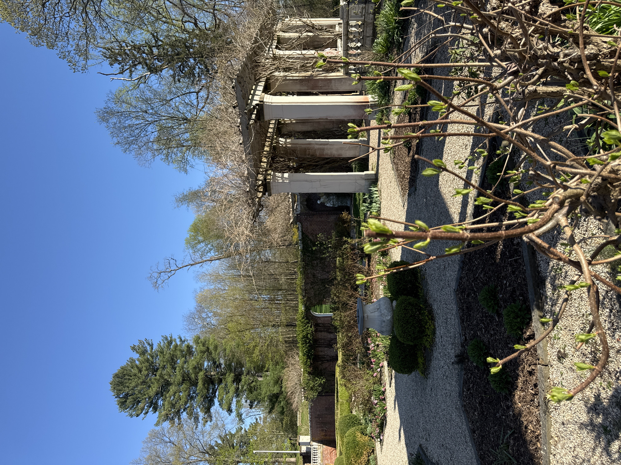 The image depicts a garden scene in the Town of Red Hook, United States of America, on a sunny day. The focal point is a stone pergola draped with bare vines, suggesting either late winter or early spring. A gravel path leads towards the pergola, flanked by garden beds with emerging spring foliage and small flowers. A brick wall, partially obscured by greenery, borders the garden. In the background, a line of trees with budding leaves is visible. The sky is a clear, bright blue. In the foreground are the branches of a bush or small tree with emerging leaves. A stone urn or decorative element can be seen along the path.