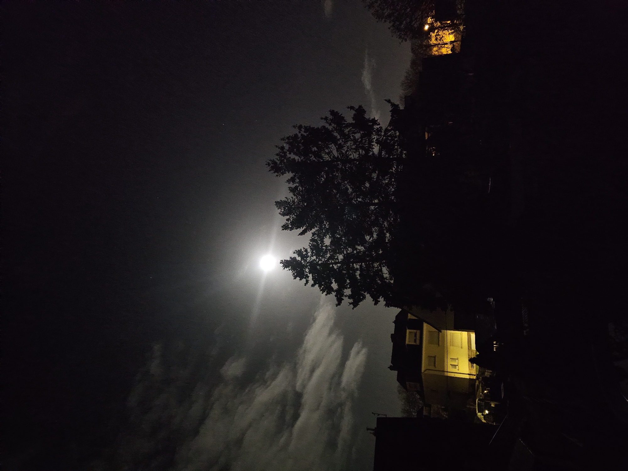 The image, taken at night, features a bright moon dominating the left side of the frame, partially obscured by clouds. A large tree silhouette is positioned to the right of the moon, partially obscuring it. Below the tree, a yellow building is visible, illuminated by internal lights. A streetlight further in the distance provides an additional light source on the right side of the frame. The location is likely Esch-sur-Alzette, Luxembourg, given the architectural style of the building. No people are visible in the frame.