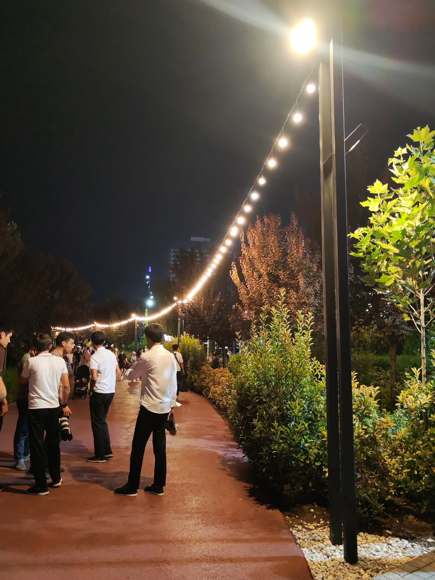 The image depicts an outdoor scene at night, likely in a park or public space in Tashkent, Uzbekistan, as indicated by the presence of string lights and modern architecture in the background. A pathway, appearing to be made of red asphalt, curves through the scene. Several individuals are present, mostly men, some of whom are holding cameras, suggesting a photography event or a group of enthusiasts. The lighting comes from a string of spherical bulbs illuminating the pathway and trees, along with a tall lamppost in the foreground. Lush green foliage and trees, some with autumnal colored leaves, surround the pathway. The atmosphere appears relaxed and social, with people gathered and interacting.