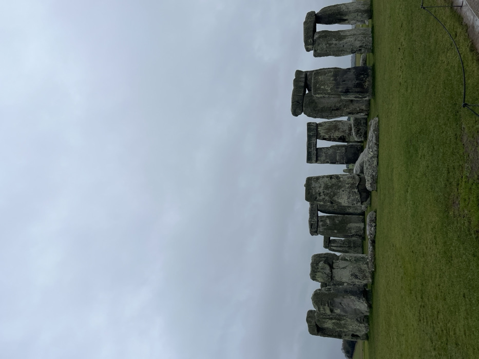 The image presents a wide view of the Stonehenge monument, situated on a verdant grass plain near Winterbourne Stoke, United Kingdom, under an overcast sky. The central subject is a partial circular arrangement of large, grey sarsen stones, some standing vertically with horizontal lintels forming distinct trilithons, while others are solitary upright monoliths or fallen blocks lying on the grass. The stones show significant weathering and patches of pale green lichen. The grass foreground occupies approximately the lower third of the frame, appearing uniformly green and neatly maintained. A dark, thin rope barrier supported by poles is visible in the bottom right foreground, indicating a designated viewing area. The sky above is a uniform light grey, devoid of distinct cloud formations or direct sunlight. No individuals or animals are present in the scene, and no discernible actions or interactions are occurring. The lighting is soft and diffused, characteristic of an overcast day. Distant, low-lying land or hills are faintly visible on the horizon line behind the monument, particularly towards the left.