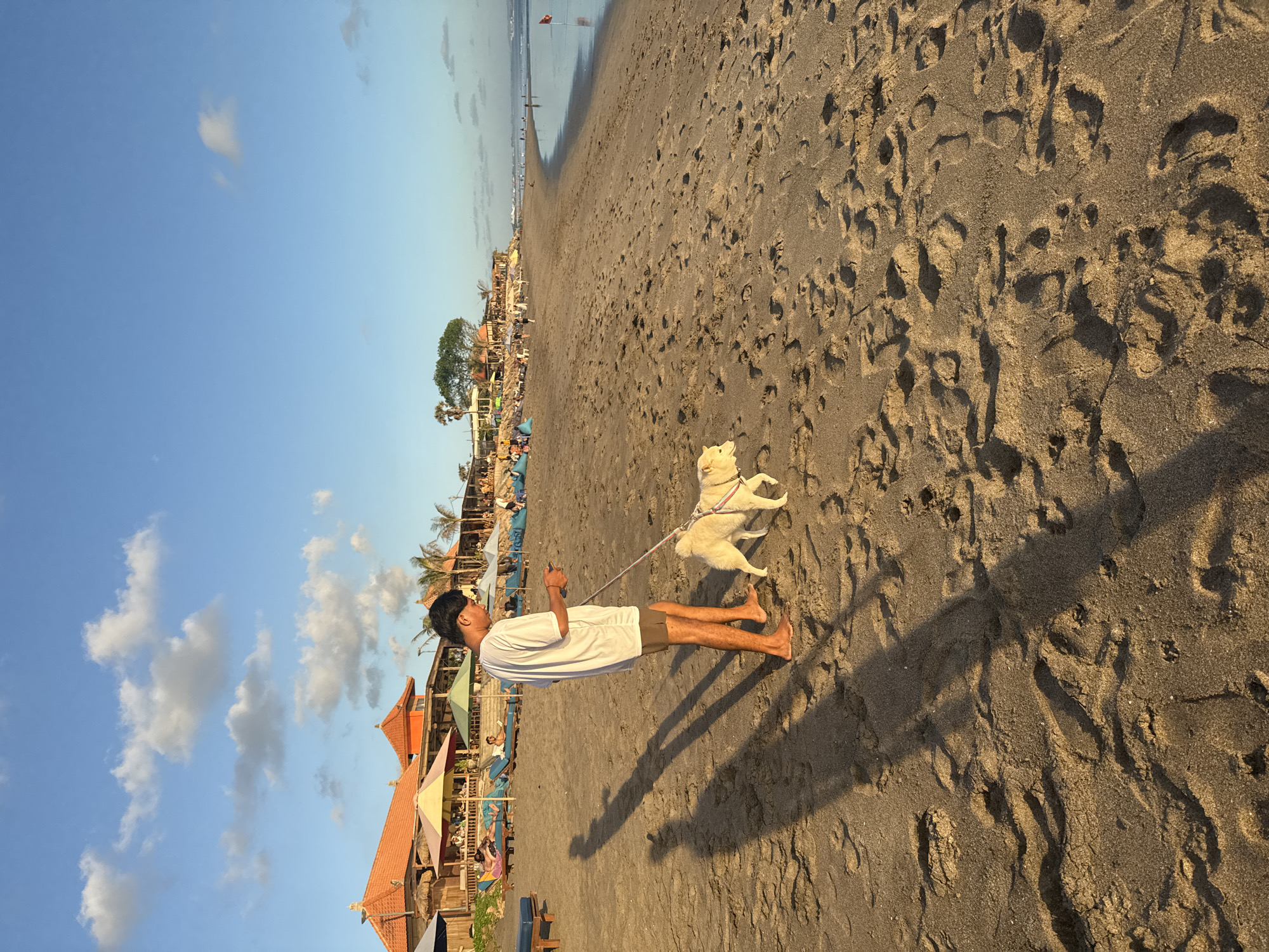 The image shows a man walking two white dogs on a beach in North Kuta, Indonesia. The man is wearing a white shirt and shorts. He is holding a leash connected to both dogs. The dogs are running and jumping. The beach is sandy and there are other people in the distance. There are some buildings and trees on the left side of the image. The sky is blue with some clouds. The image is taken from a slightly high angle and is rotated 90 degrees.