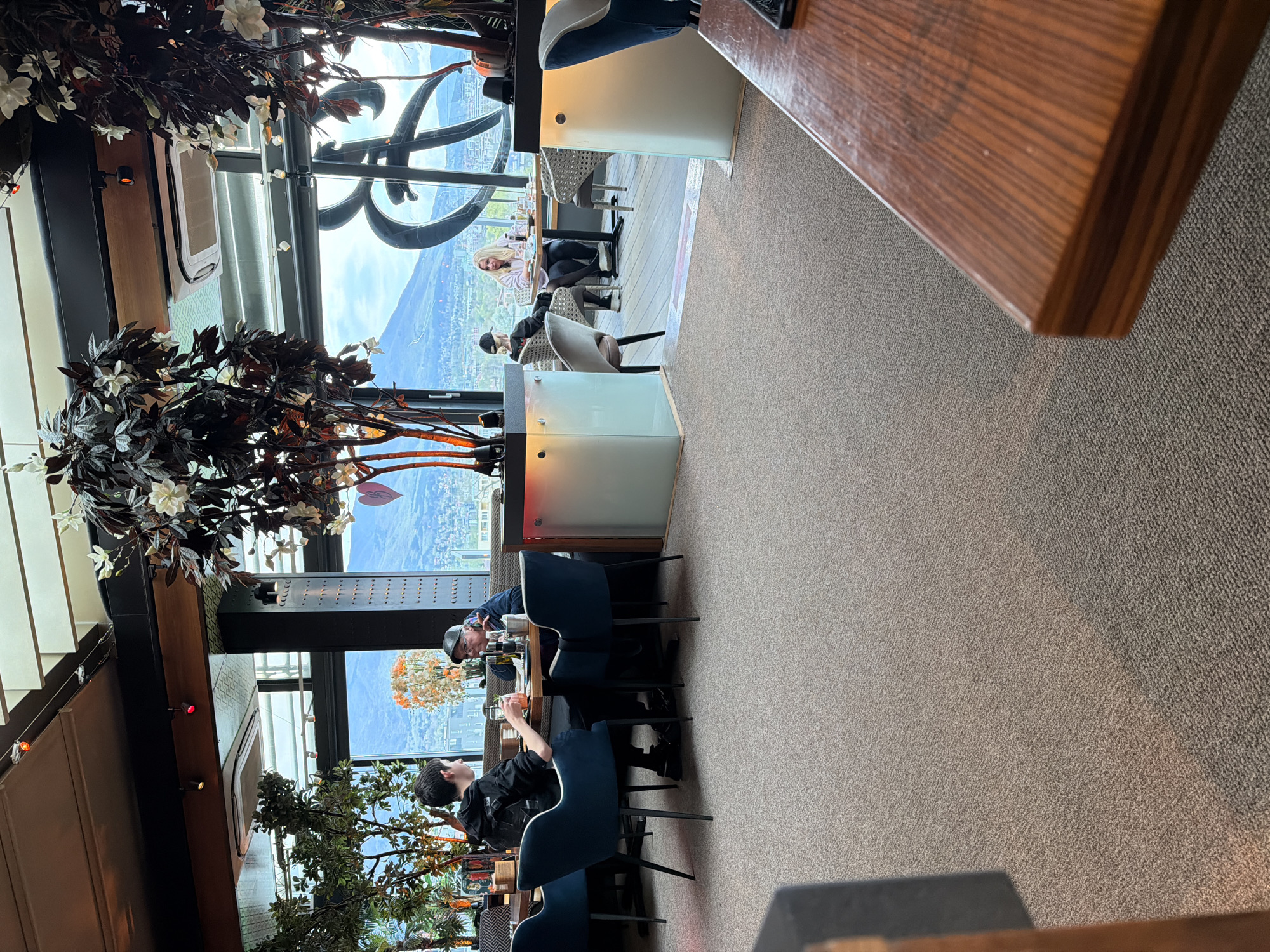 This image captures an indoor scene within a modern restaurant, likely situated in a high-rise building, offering a panoramic view of a city and distant mountains under a bright daytime sky.
In the foreground, a corner of a polished wooden table extends into the frame, with the floor covered in light brown carpet. The restaurant features contemporary decor, including stylish dark blue chairs at tables with light-colored surfaces. Lush decorative plants with dark foliage and white flowers are strategically placed throughout the space, adding a natural and elegant touch.
Several patrons are visible, engaged in dining or conversation. In the midground, two individuals are seated opposite each other at a table, one wearing a black shirt and the other a blue jacket and a cap. Further back, near the large windows, two women are also seated at a table, one with blonde hair in a light-colored top, and the other in a dark top with a cap. Other patrons can be faintly seen deeper within the restaurant.
Through the expansive windows, a clear vista of an urban landscape unfolds, featuring numerous buildings and stretching towards a range of mountains in the distance. This view is consistent with a location offering a high vantage point over a city like Sofia, Bulgaria. The bright natural light streaming in suggests it is daytime. The atmosphere appears relaxed and comfortable, designed for patrons to enjoy both their company and the scenic outlook. No discernable text is visible within the image.