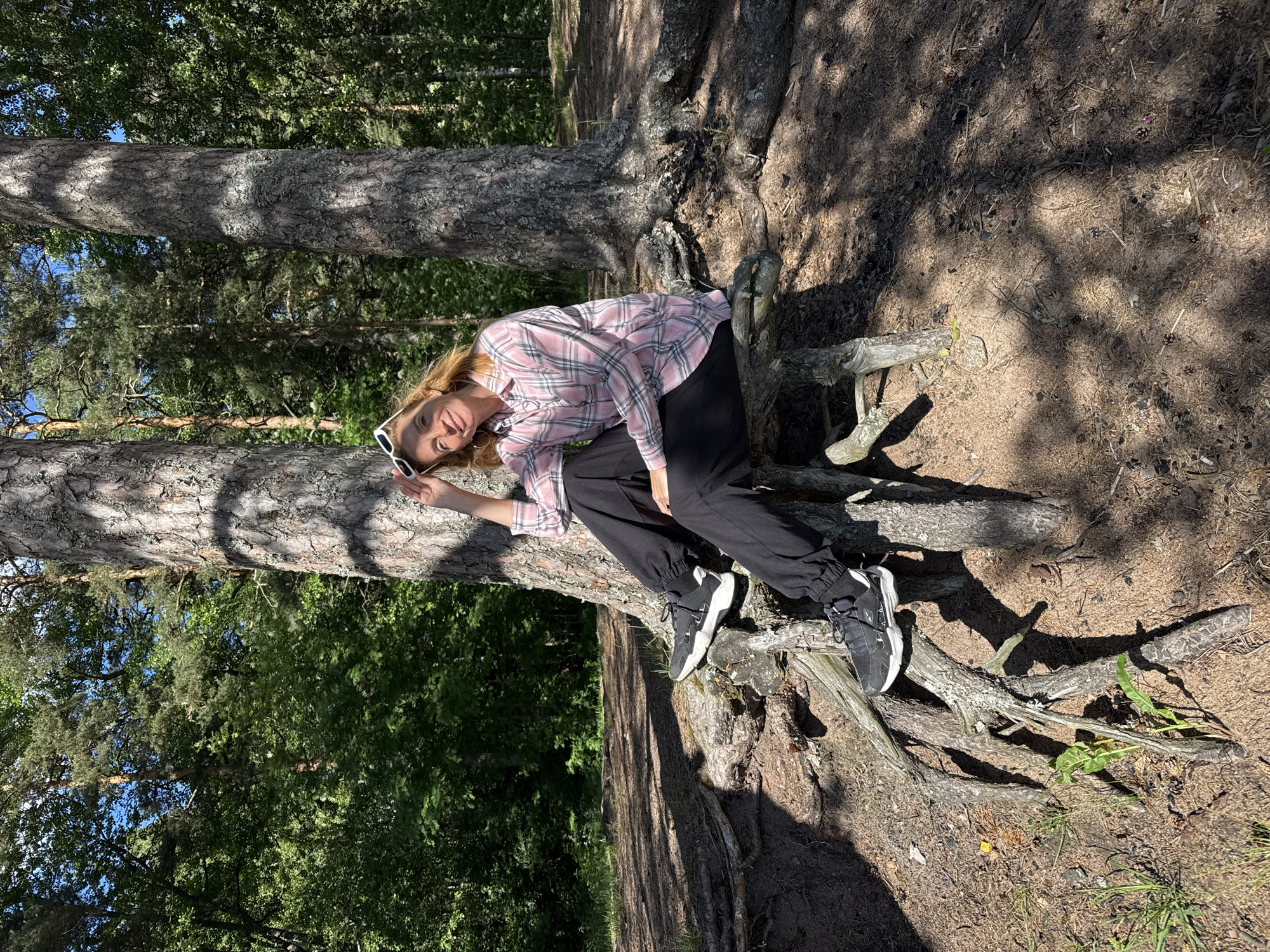 A young woman with blonde hair is lying on the exposed roots of a large tree in a forest. She is wearing a pink and white plaid shirt, black pants, and black and white sneakers. She is holding a pair of white sunglasses in her right hand and resting her head on her arm. The woman is smiling and looking at the camera. The sun is shining, casting dappled shadows on the ground and tree. The setting appears to be a natural woodland area, with dense green trees and foliage visible in the background. The time of day is likely daytime, given the bright sunlight. The overall mood is relaxed and cheerful. There is no visible text in the image.