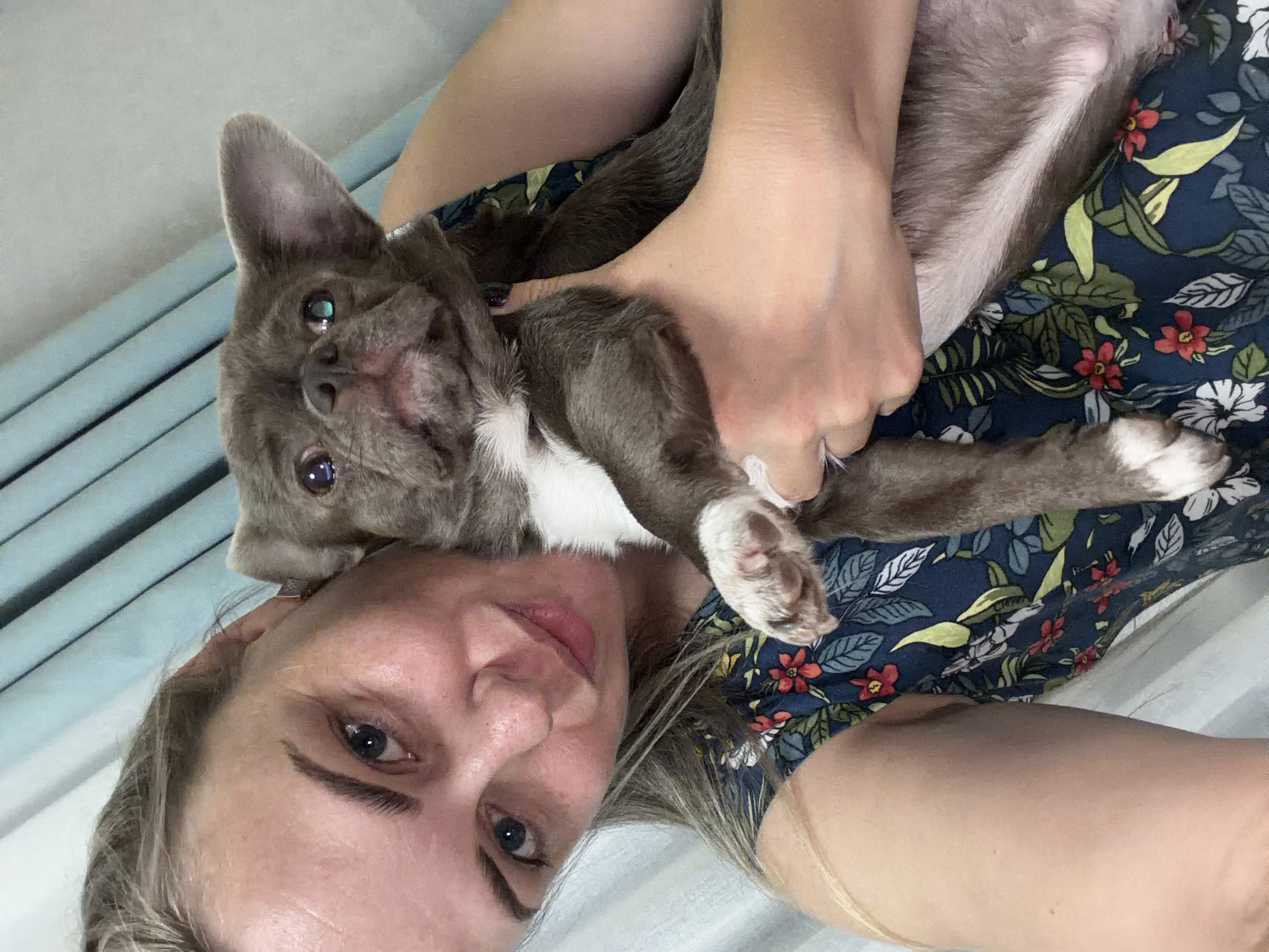 In an indoor setting, a woman with blonde hair and blue eyes is taking a selfie while holding a small, grey dog. She is wearing a dark blue dress with a floral pattern featuring red flowers and green leaves. The dog, which appears to be a French Bulldog or a similar breed, has large ears and is being held close to the woman's face. The background consists of light blue curtains. The image does not provide any specific information to determine its location in Votkinsk, Russia, or any other city.