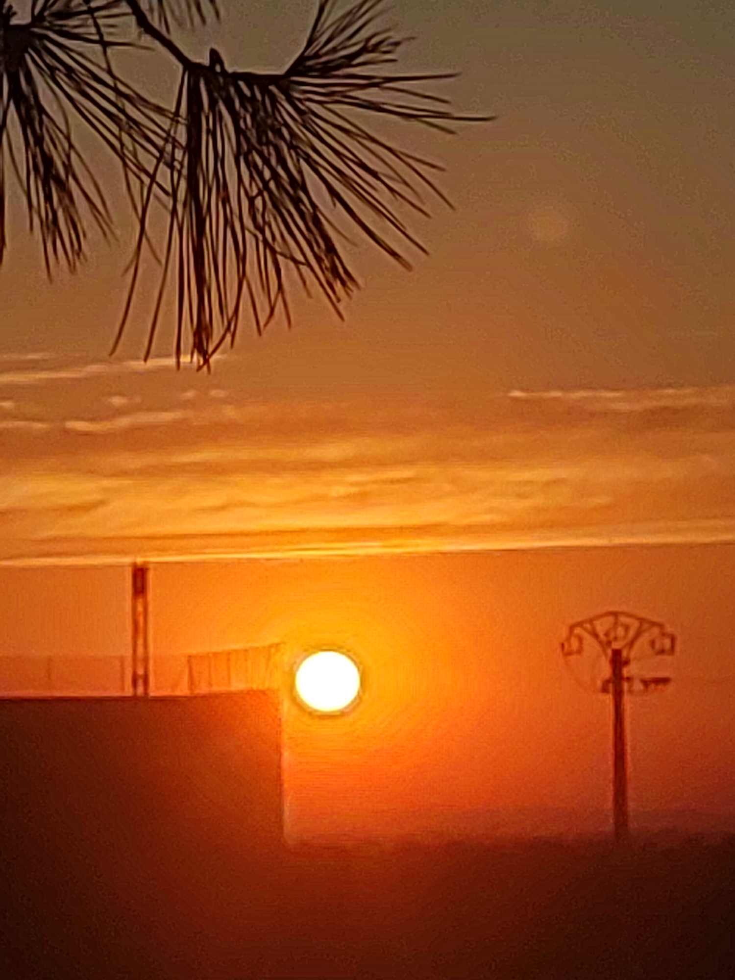 The image depicts a sunset over the city of Sobradillo, Spain. The sky is a vibrant orange, with scattered clouds. In the foreground, a branch of a pine tree hangs from the top left corner. The sun, a bright white orb, is positioned in the center of the frame, partially obscured by a structure that appears to be a building or a fence. To the right of the sun, a utility pole with multiple crossbars stands silhouetted against the sky. The lower half of the image is dominated by a dark, shadowy area, suggesting the presence of land or other structures. The overall scene conveys a sense of peacefulness and natural beauty at the end of the day.