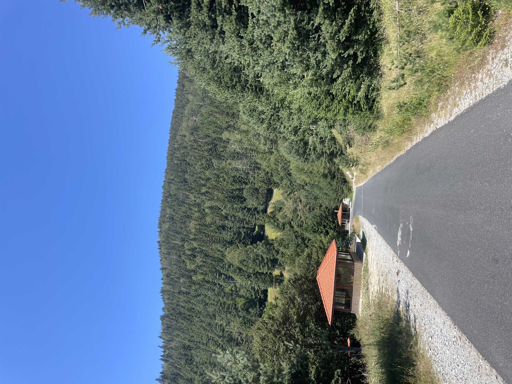 This image depicts a scenic view along a paved road that winds through a lush, green forest. The road is in the foreground, leading towards a densely wooded mountainside covered in evergreen trees. On the left side of the road, there is a small, open-sided structure with a distinctive orange-tiled roof, possibly a picnic shelter or rest stop. Further down the road, another similar structure with an orange roof is visible. The sky is a clear, vibrant blue, indicating a sunny day. The environment suggests a natural, mountainous landscape, likely a rural area or a national park. The specific location is identified as the city of Bosilkovo, Bulgaria, implying this road and the surrounding forest are within or near this Bulgarian city. No people are visible in the image.