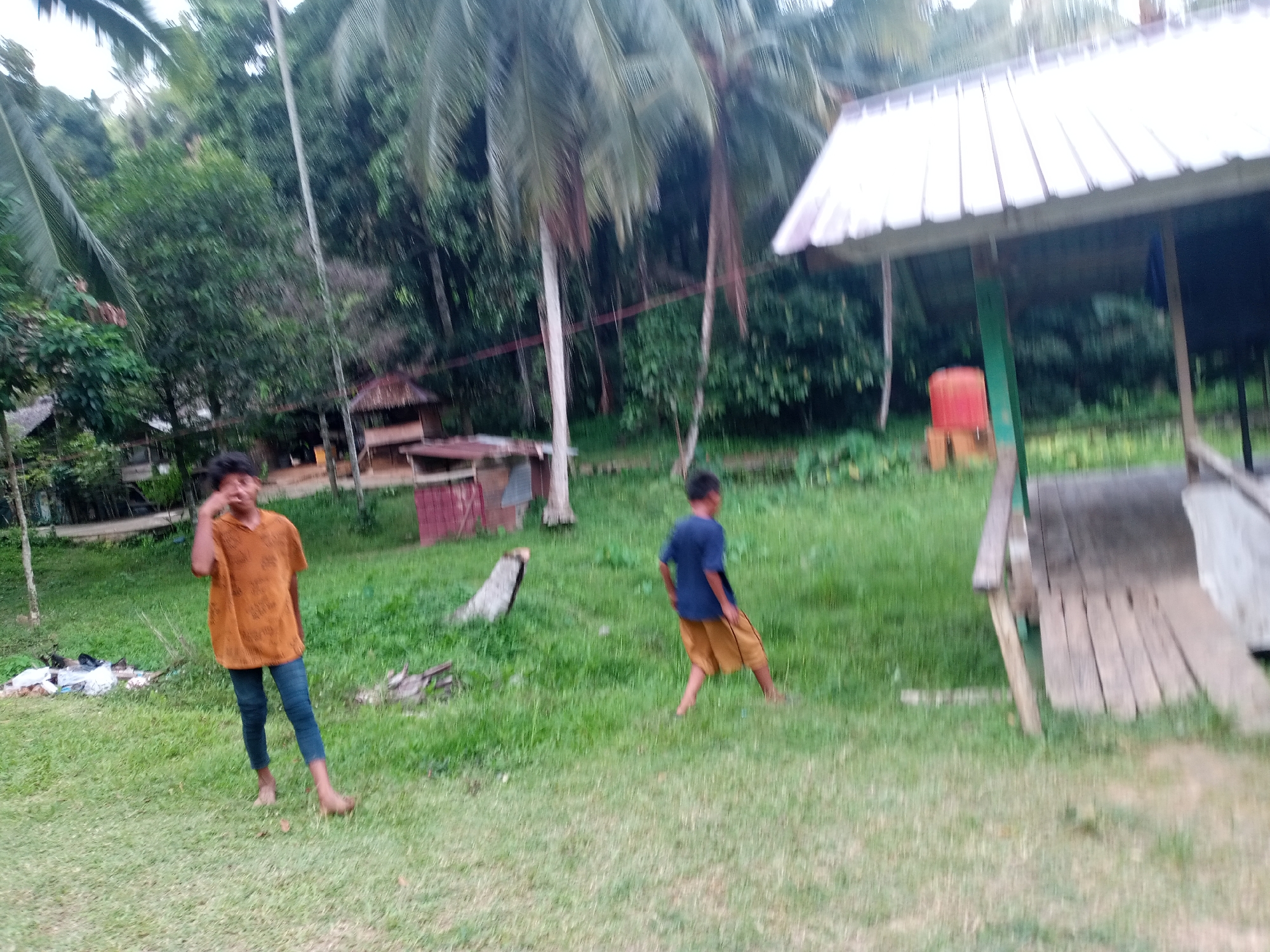 In a grassy outdoor area, two young boys are seen in motion. The boy on the left, facing the camera, wears a brown, patterned shirt and blue jeans. He stands with his hands near his face, possibly scratching his nose or adjusting something. The boy on the right is in profile, facing away from the camera, wearing a blue shirt and brown shorts. He appears to be walking or running.
The setting is lush and tropical, with tall palm trees and dense green foliage in the background. There are several structures visible, including a small building with a reddish roof and a covered wooden platform or gazebo with a corrugated white roof. A bright red cylindrical object is positioned near the gazebo. In the foreground, the grass is green and somewhat uneven, with some debris scattered on the left side.
The overall impression is a casual, daytime scene in a rural or semi-rural location. The lighting suggests it is daytime, possibly overcast or late afternoon, given the soft light. The blurriness of the image implies motion, either from the subjects or a shaky camera. The location cues, such as the palm trees and architecture, are consistent with a tropical setting like Lhokseumawe, Indonesia. No text is visible in the image.