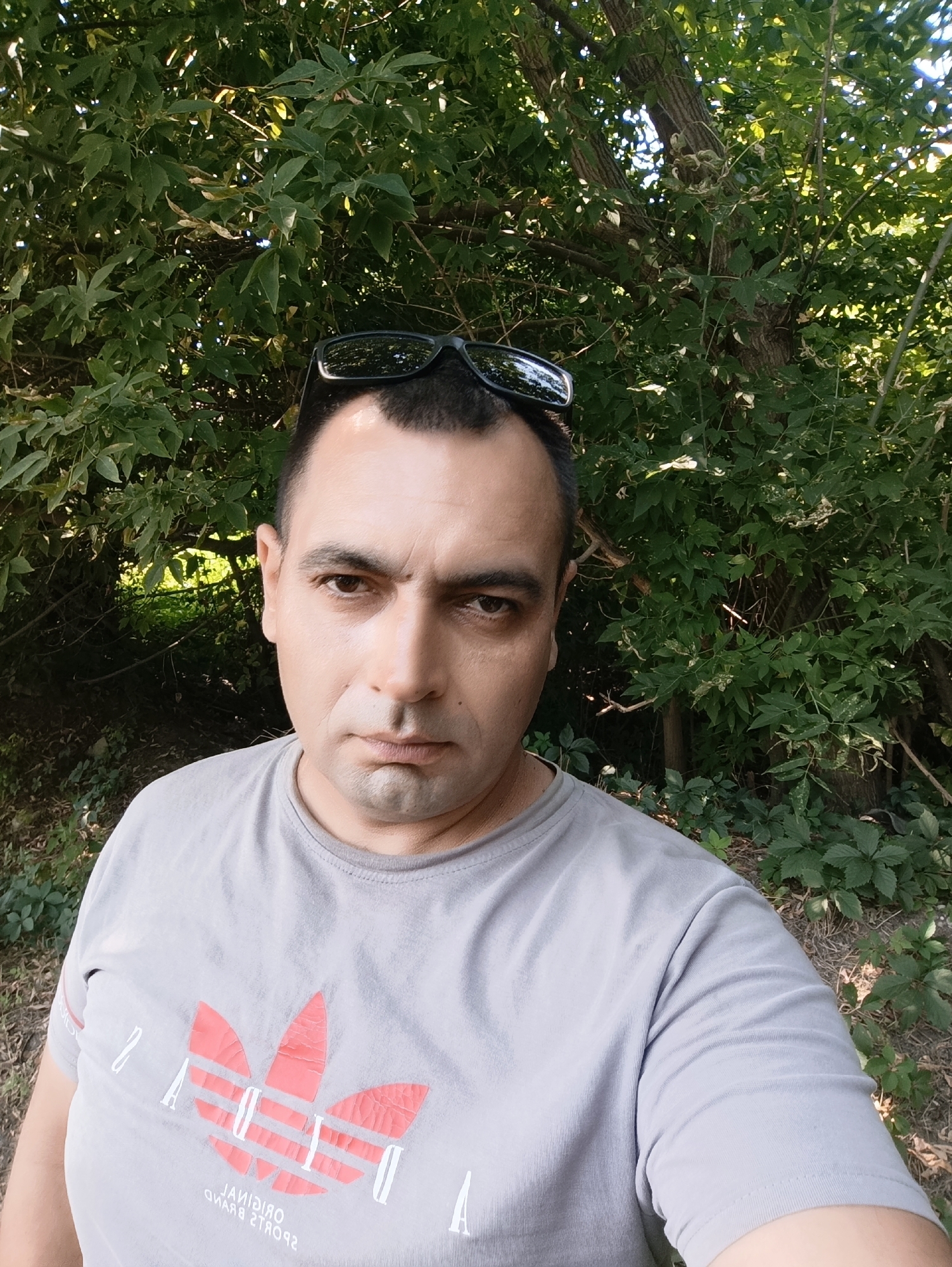 A man is taking a selfie outdoors. He is wearing a grey t-shirt with an Adidas logo on it and sunglasses on top of his head. He is standing in front of a dense green foliage of trees and bushes. The lighting suggests it is daytime, likely late afternoon given the shadows. The scene is not specific to any particular city and does not provide any identifiable landmarks of Dnipro, Ukraine.
