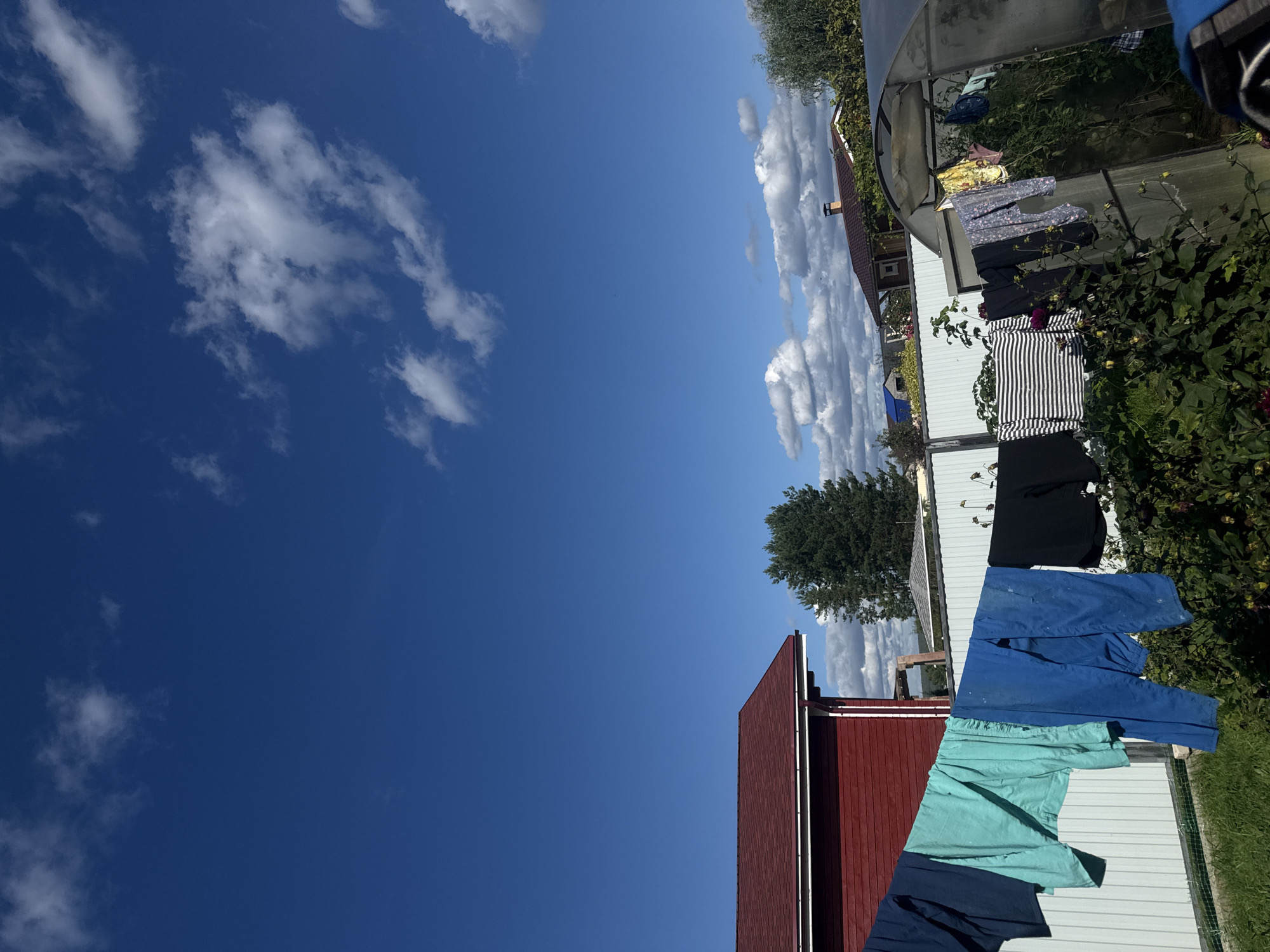 The image depicts a backyard scene under a bright blue sky with scattered clouds. A clothesline stretches across the frame, laden with a variety of laundry, including shirts, pants, and what appears to be bedding. To the left, a red-sided building with a dark red roof is visible. In the background, there is a white fence, trees, and a greenhouse. The foreground shows green grass and a patch of dark green foliage. The scene appears to be in a rural or suburban setting.