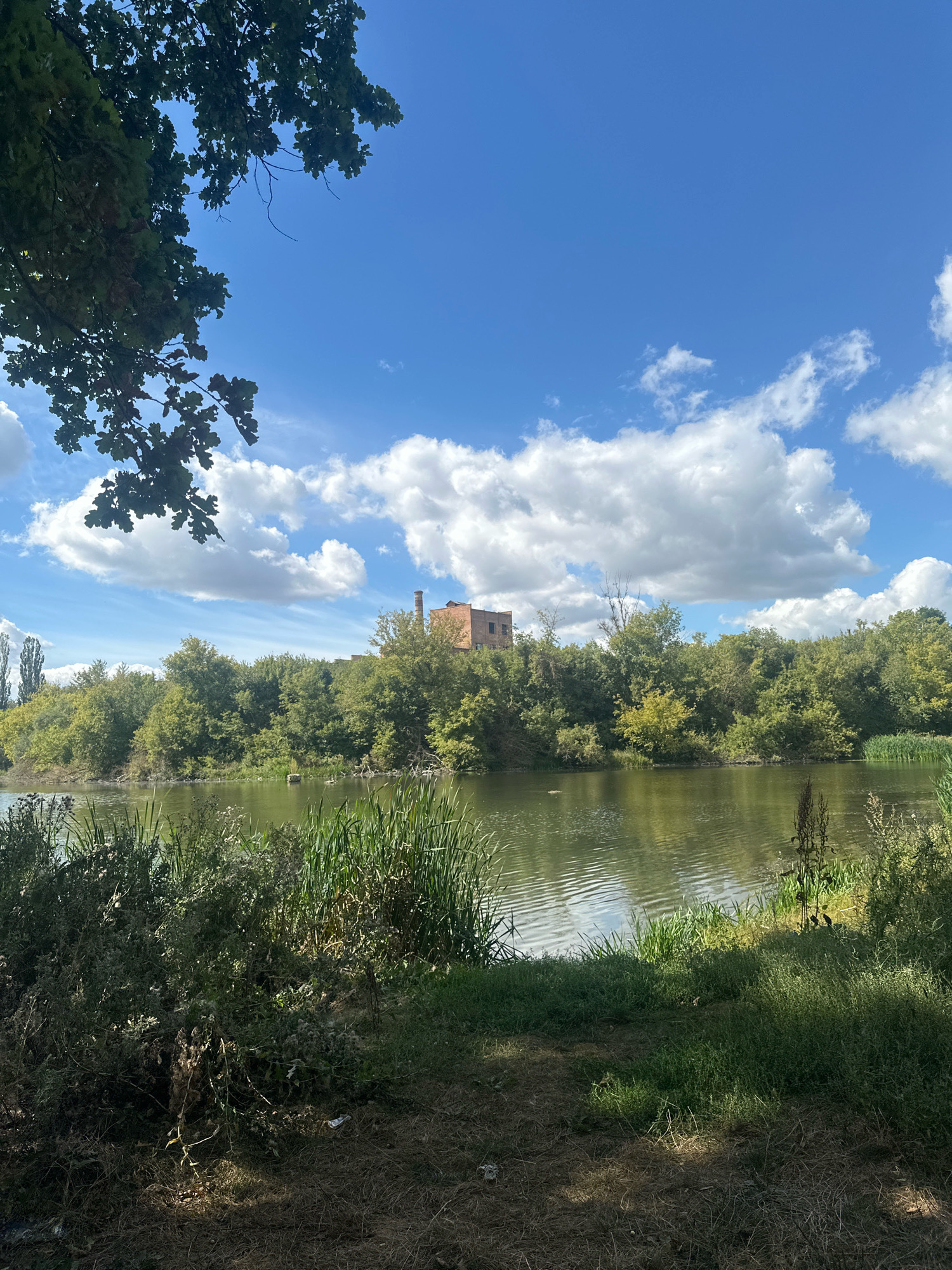The image depicts a serene natural landscape under a bright blue sky with fluffy white clouds. A calm body of water dominates the lower half of the frame, reflecting the sky and surrounding greenery. Dense trees line the opposite bank of the water, creating a lush green backdrop. In the distance, peeking above the trees, is a brick industrial building with a tall chimney. The foreground is a mix of grass, reeds, and some dry vegetation, suggesting a park or natural area. The scene appears to be located in the city of Shatava, Ukraine.