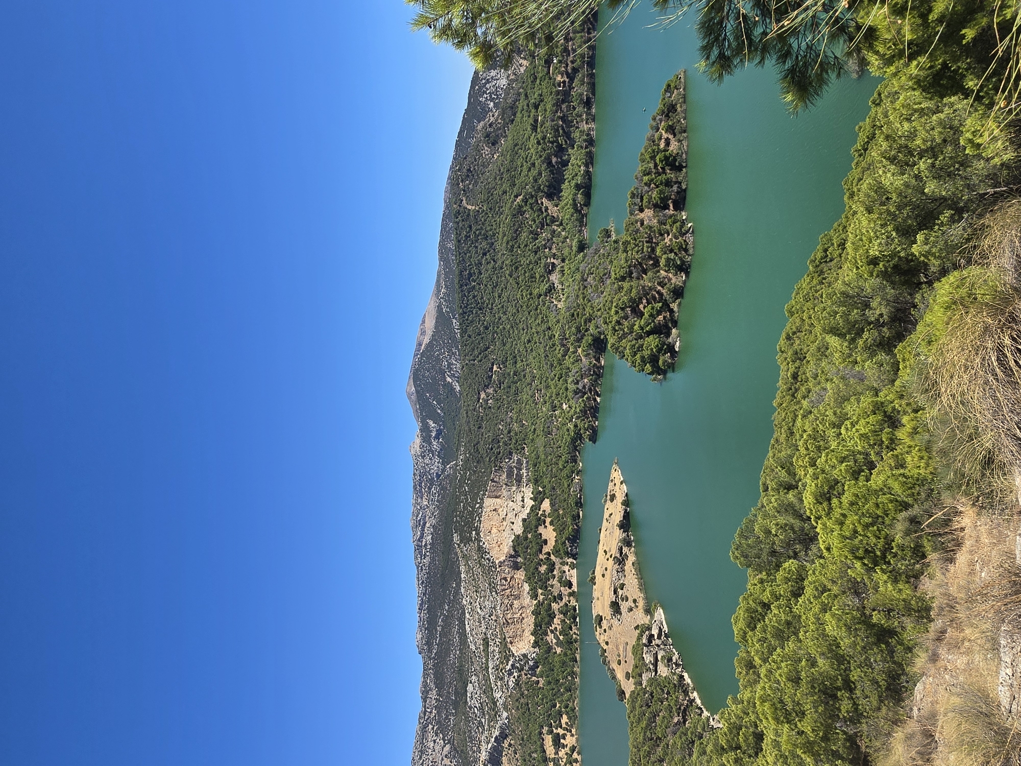 The image depicts a panoramic view of the Embalse del Guadalhorce reservoir, located near Campillos, Spain. The scene is dominated by the striking turquoise waters of the reservoir, with several verdant islands dotting its surface. These islands are covered in lush green trees and shrubs, appearing densely forested.
The surrounding landscape is characterized by rolling hills and mountains, covered in a mix of trees and rocky outcrops. The mountains in the background are rugged and appear to be arid in places, with lighter colored rock formations visible. The vegetation is predominantly green, suggesting a healthy ecosystem, with patches of dry, golden grasses in the foreground, indicative of a sunny climate.
The sky is a clear, vibrant blue, devoid of any clouds, suggesting fair weather. The lighting indicates it is daytime, with the sun casting natural light on the landscape. In the distance, on the water, a small dark object, possibly a boat, is visible. The foreground features dry, scrubby vegetation and rocky terrain, offering a contrast to the lushness of the reservoir islands and surrounding hills. The composition is a high-angle shot, providing a sweeping vista of the natural scenery.