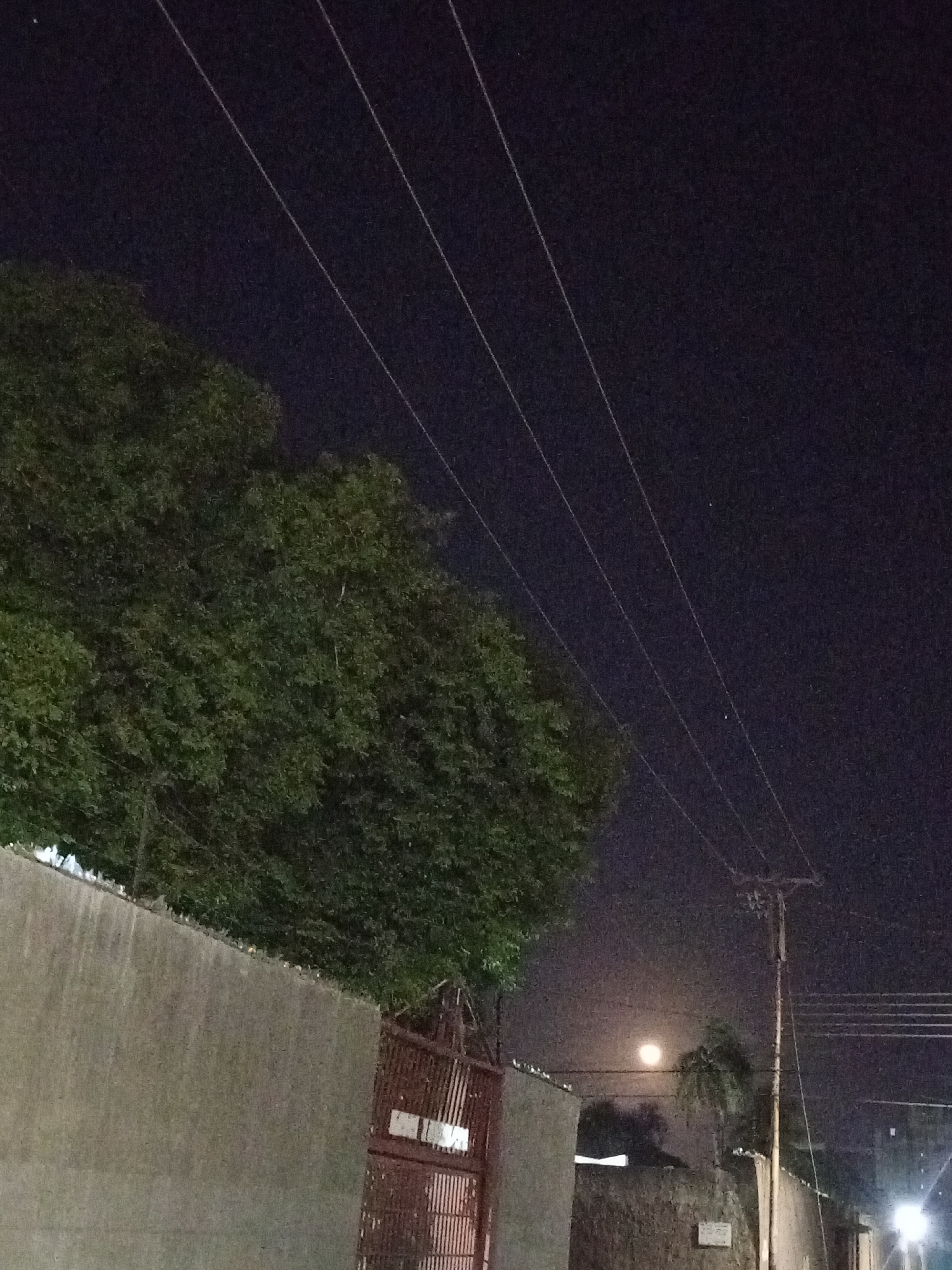 The image depicts a night scene in what is suggested to be Porlamar, Venezuela, though no specific location in the city is evident in the image. The scene is dominated by a high wall topped by foliage, likely a tree or large shrubbery. To the right of the wall is a metal gate. Overhead are several electrical wires running diagonally across the frame. In the background, a bright light source (possibly the moon or a streetlamp) is visible between the wall and a telephone pole. A palm tree is seen next to the telephone pole. The sky is dark, suggesting it is nighttime. No people, interactions, or actions are directly visible in the photograph.