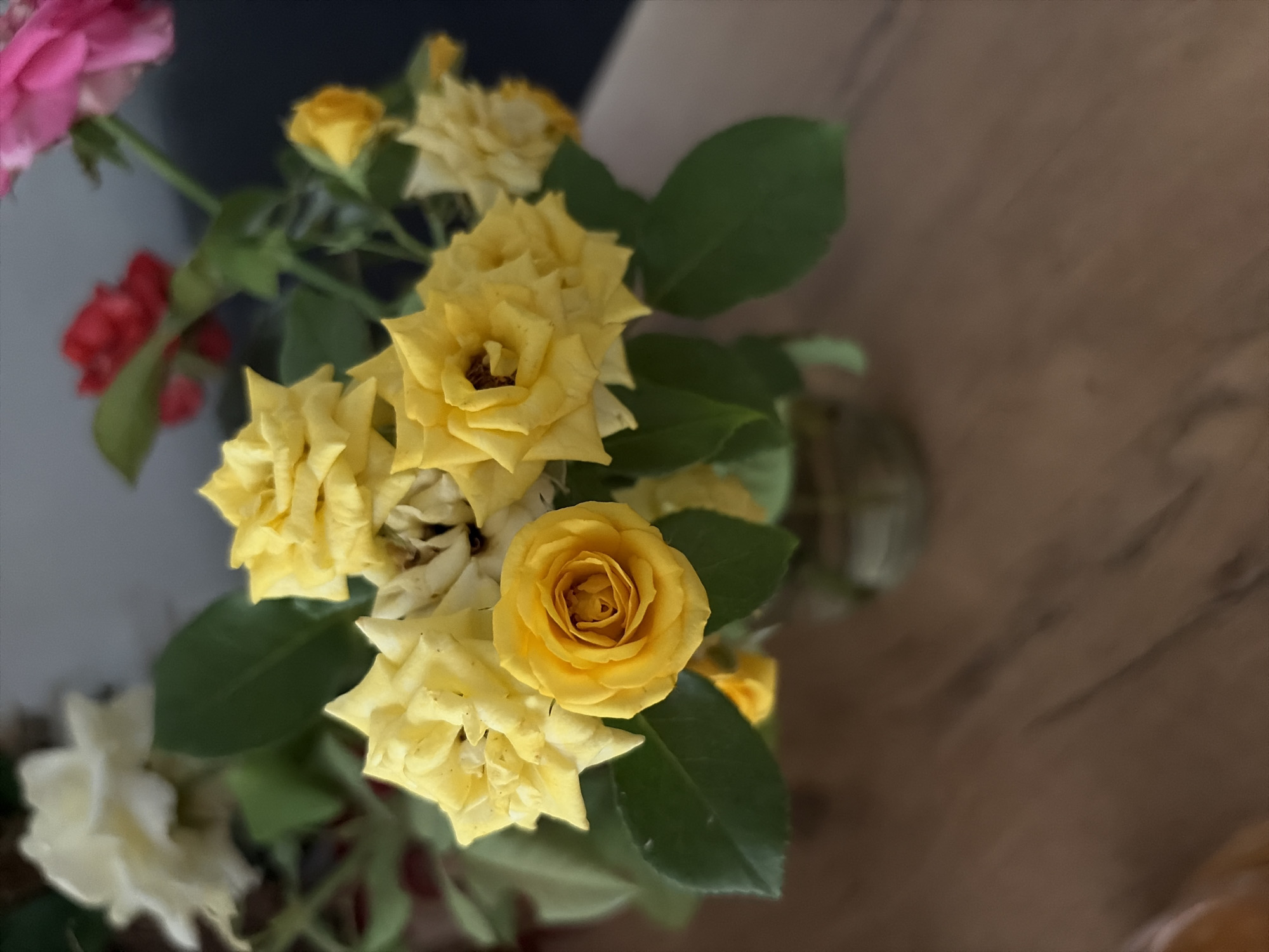 A close-up, shallow depth-of-field shot shows a bouquet of yellow roses in a glass vase. The roses are clustered together, with one in the foreground showing detailed petals and a dark center. Several green leaves surround the roses. In the background, out of focus, are hints of other flowers, including white, red, and pink, along with a blurred wall or surface. The bouquet is situated on a wooden surface, likely a table, which also appears slightly out of focus. The lighting suggests an indoor setting. The location is stated to be in Oxentea, Moldova.