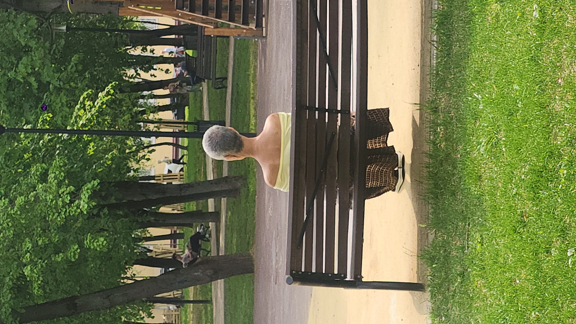 A vertical, medium-shot photograph shows a woman sitting on a park bench in Moscow, Russia. The woman, who appears to be middle-aged, is seen from the back and is wearing a yellow top. She is the closest subject of the image and is sitting in front of a bench made of dark brown wood and metal supports. Her head is facing away from the camera. Behind the bench, there is a woven bag sitting on the bench. The ground near the bench is tan colored on one side, and green grass on the other. The grass appears to be well-maintained. In the background of the photograph, there is a sidewalk, more benches, trees, and other indistinct parkgoers and dogs. The scene suggests a quiet, relaxing moment in a city park. The lighting indicates it is daytime.