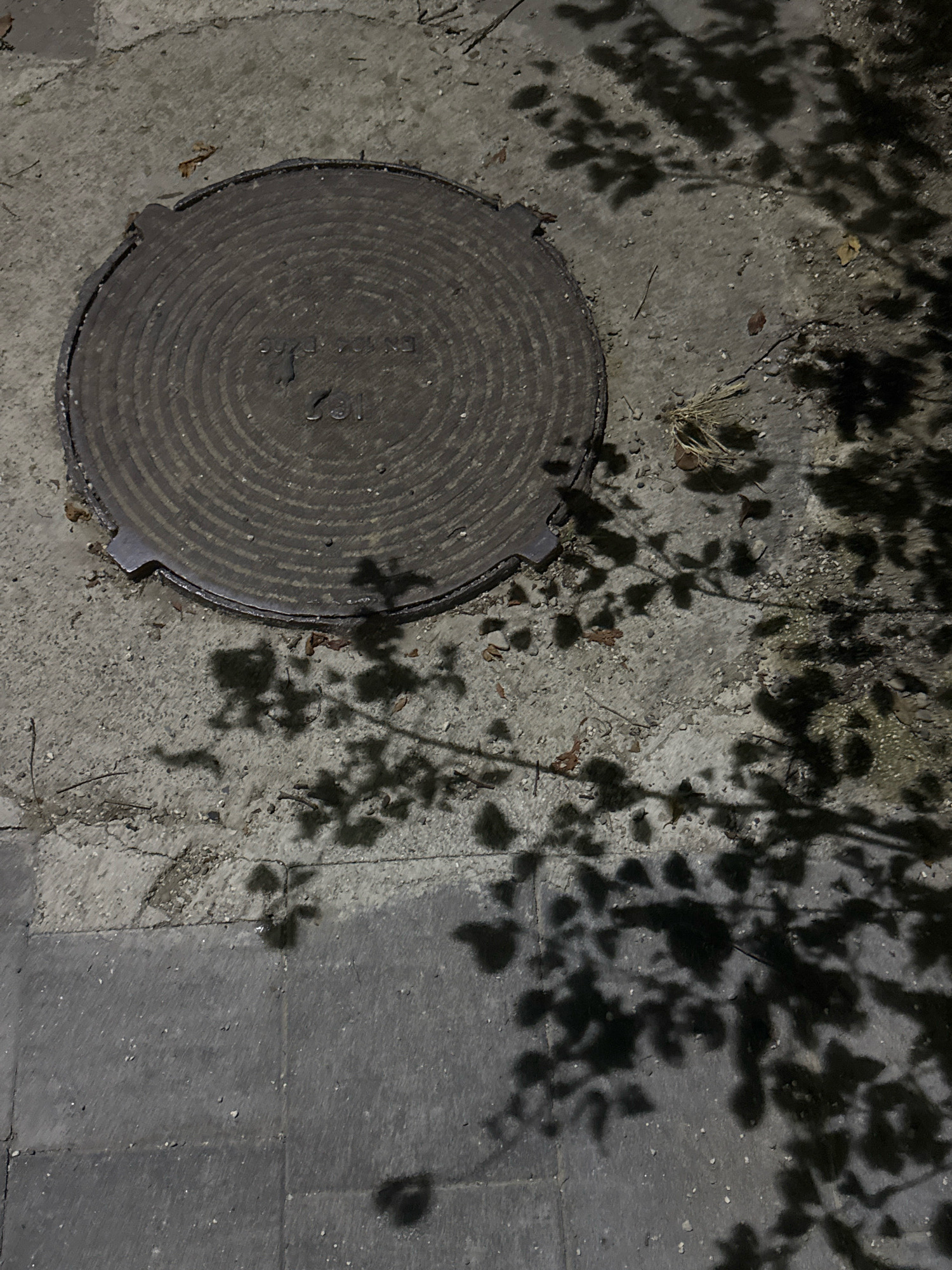 The image shows a close-up, high-angle view of a circular manhole cover on a concrete surface. The manhole cover has concentric circular ridges and some embossed text that is difficult to read but appears to include "EN 124". To the right and extending into the foreground, the ground is covered with shadows of tree leaves. The concrete surface appears to be part of a sidewalk or street, with some smaller debris and cracks visible. The overall lighting suggests it is nighttime, possibly illuminated by artificial light casting the shadows. The location is identified as Telavi, Georgia. There are no people or animals present in the scene. The image focuses on the texture and patterns of the manhole cover and the interplay of light and shadow on the ground.