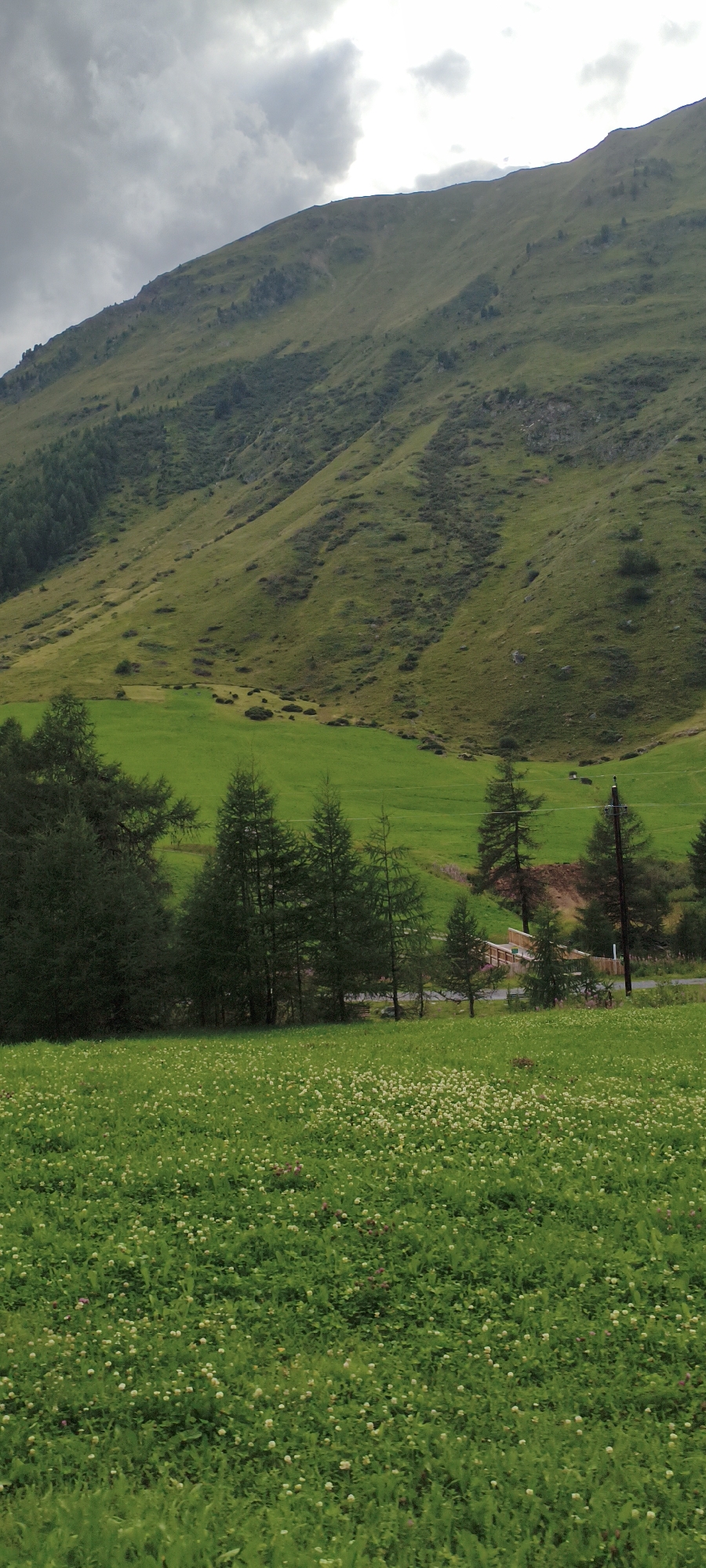 The image depicts a scenic view of a lush green valley with a steep, vegetation-covered mountainside in the background. The foreground is a meadow filled with small white and pink flowers. A line of coniferous trees separates this meadow from a brighter green, flatter field further up the valley. In the middle ground, a wooden structure, possibly a bridge or part of a building, is visible. The sky is overcast with dramatic grey clouds. The scene appears to be located in a mountainous region, likely in the Austrian Alps given the context of Sölden.
