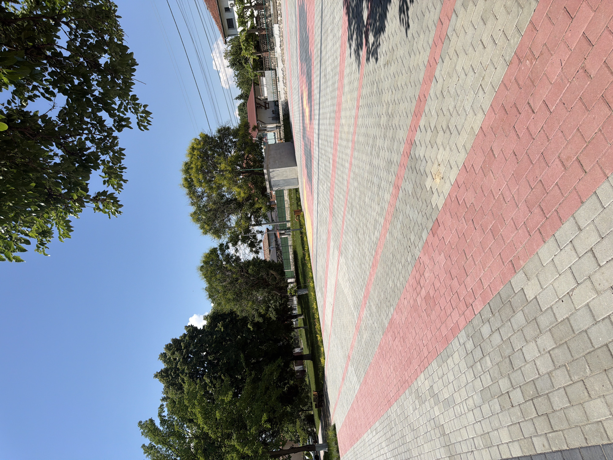 The image depicts an outdoor scene with a clear blue sky and lush green trees. In the foreground, a paved area with interlocking bricks in grey and red is visible. These bricks are laid in diagonal stripes, creating a patterned walkway or plaza. Beyond the paved area, there is a grassy lawn with several trees. In the background, buildings with red-tiled roofs and white walls are situated. Power lines are also visible stretching across the sky. The overall impression is one of a well-maintained public space or residential area on a sunny day in Zlatitrap, Bulgaria.