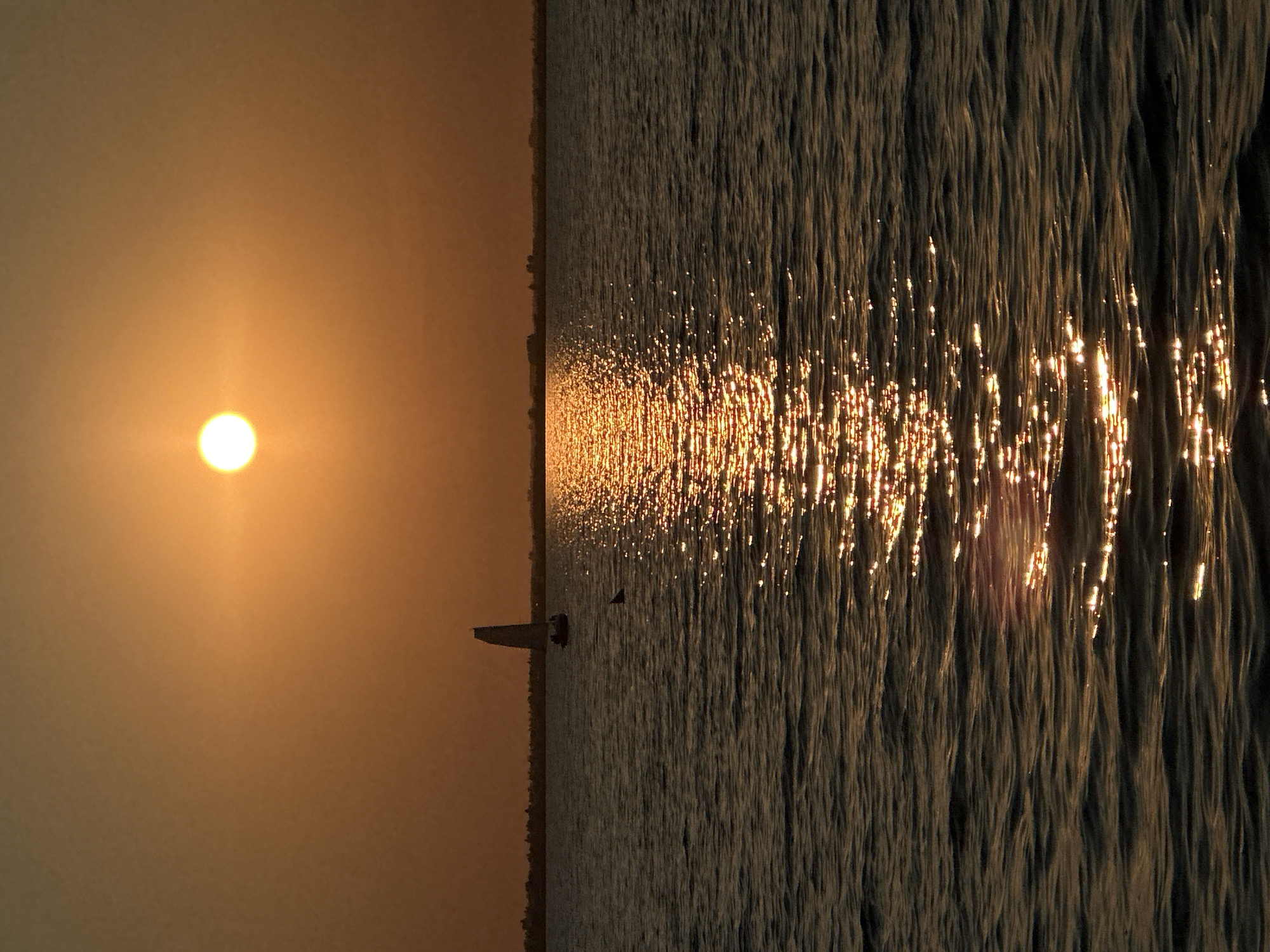 An image shows a body of water, possibly a lake or sea, during sunset. The sun, a bright orange orb, is low on the horizon, casting a shimmering golden path across the rippling water. In the distance, a silhouetted sailboat with a dark sail is visible. A dark, fin-like shape is breaking the surface of the water in front of the sailboat, suggesting a marine creature. The shoreline is a dark, indistinct line of trees or buildings against the hazy orange sky. The overall impression is a tranquil, atmospheric scene.