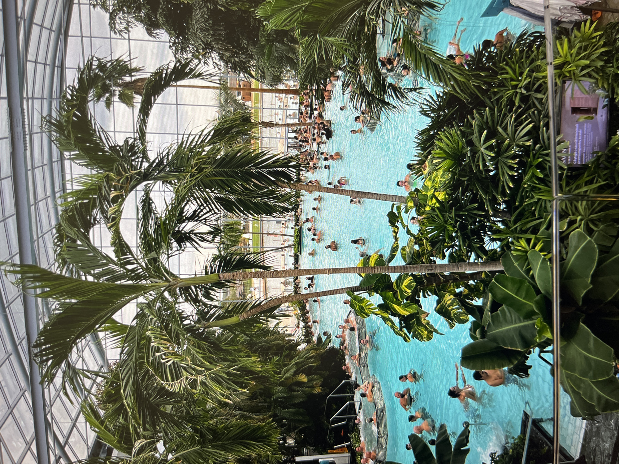 The image depicts a large indoor swimming pool with numerous people enjoying the water. Palm trees and tropical foliage are present throughout the pool area, creating a tropical atmosphere. The pool is enclosed by a glass structure, suggesting a controlled environment. The image was taken in Erding, Germany.