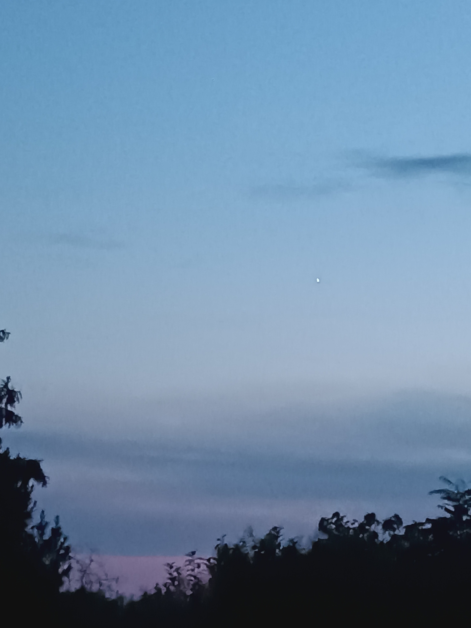 The image shows a twilight sky with a crescent moon visible in the upper middle portion. The sky transitions from a pale blue at the top to softer shades of blue and purple towards the horizon. Silhouetted trees and foliage form a dark band across the bottom of the image, suggesting a rural or suburban setting. There are no people or specific landmarks visible that would indicate a precise location within Viadana, Italy. The overall atmosphere is calm and serene, characteristic of dusk.