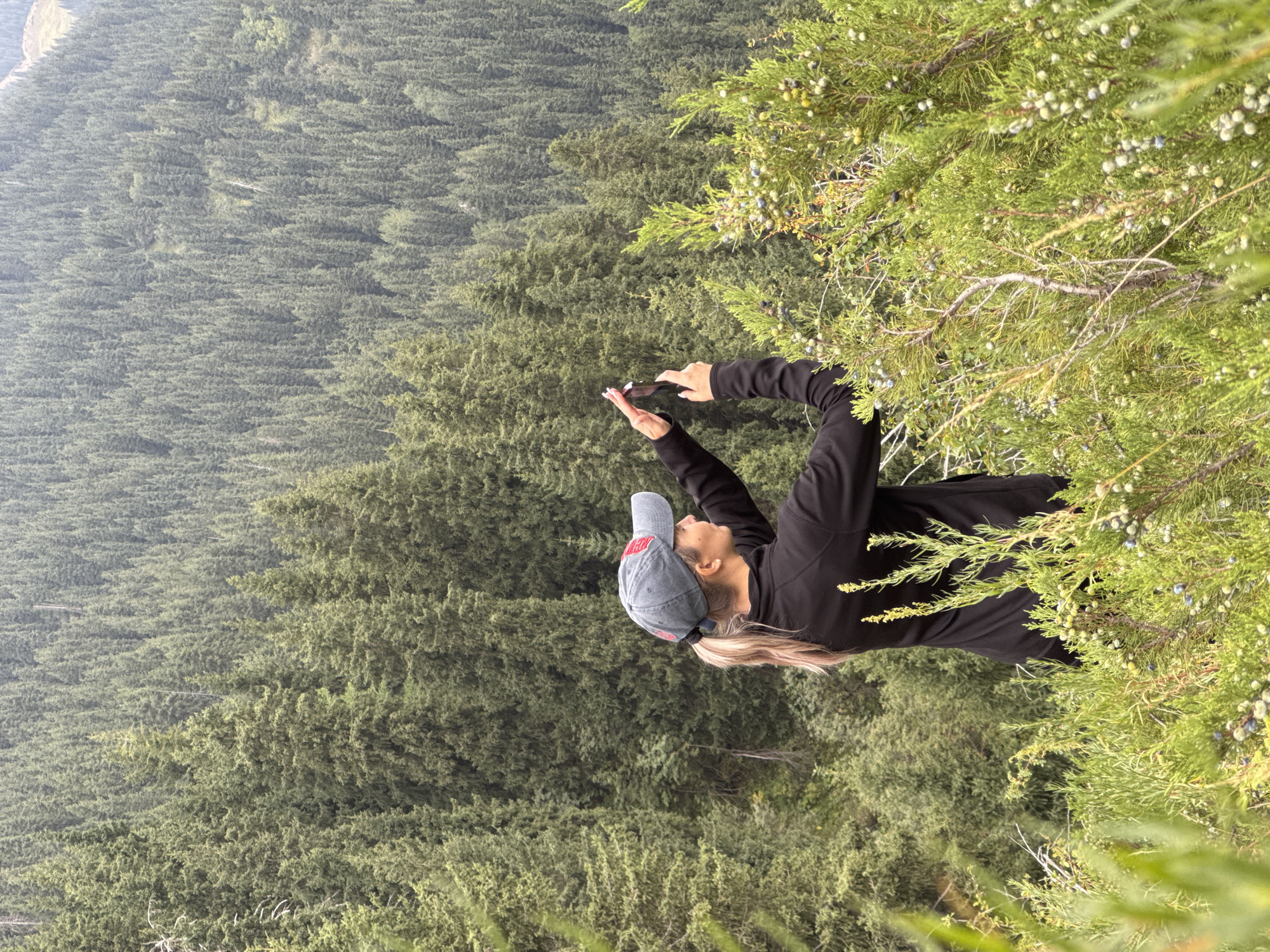 A woman with blonde hair pulled into a ponytail wears a black jacket and a gray baseball cap. She is standing on a hillside covered in dense green coniferous trees and is taking a picture with her cell phone. In the foreground, juniper bushes with blue and green berries are visible. The image appears to have been taken in the mountains near Almaty, Kazakhstan.