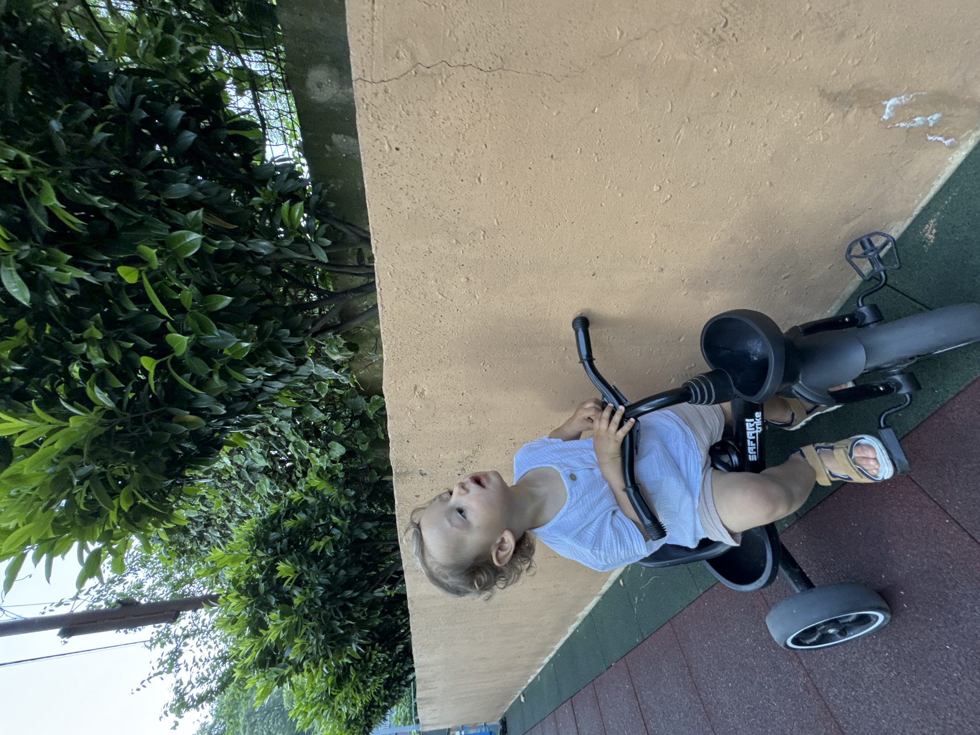This image, captured in Sochi, Russia, features a young Caucasian child, appearing to be a toddler, seated on a black three-wheeled tricycle labeled "SAFARI trike." The child has light brown, curly hair and is dressed in a white short-sleeved top with buttons, light-colored shorts, and brown and white sandals. The child's hands rest on the tricycle's handlebars, and their gaze is directed upwards and slightly to the right with an open mouth, indicating focused observation. The background consists of a textured, light tan-colored wall, approximately waist-high, exhibiting a vertical crack in its upper right section and white residue in the lower right. The ground beneath the tricycle is a multi-colored rubber safety surface, composed of dark red-brown and dark green-blue interlocking tiles. Above the wall, dense green foliage from various bushes and trees dominates the upper portions of the image, with a dark utility pole partially visible in the upper left and a metal mesh fence discernible behind the foliage in the upper right. The sky overhead appears overcast.
