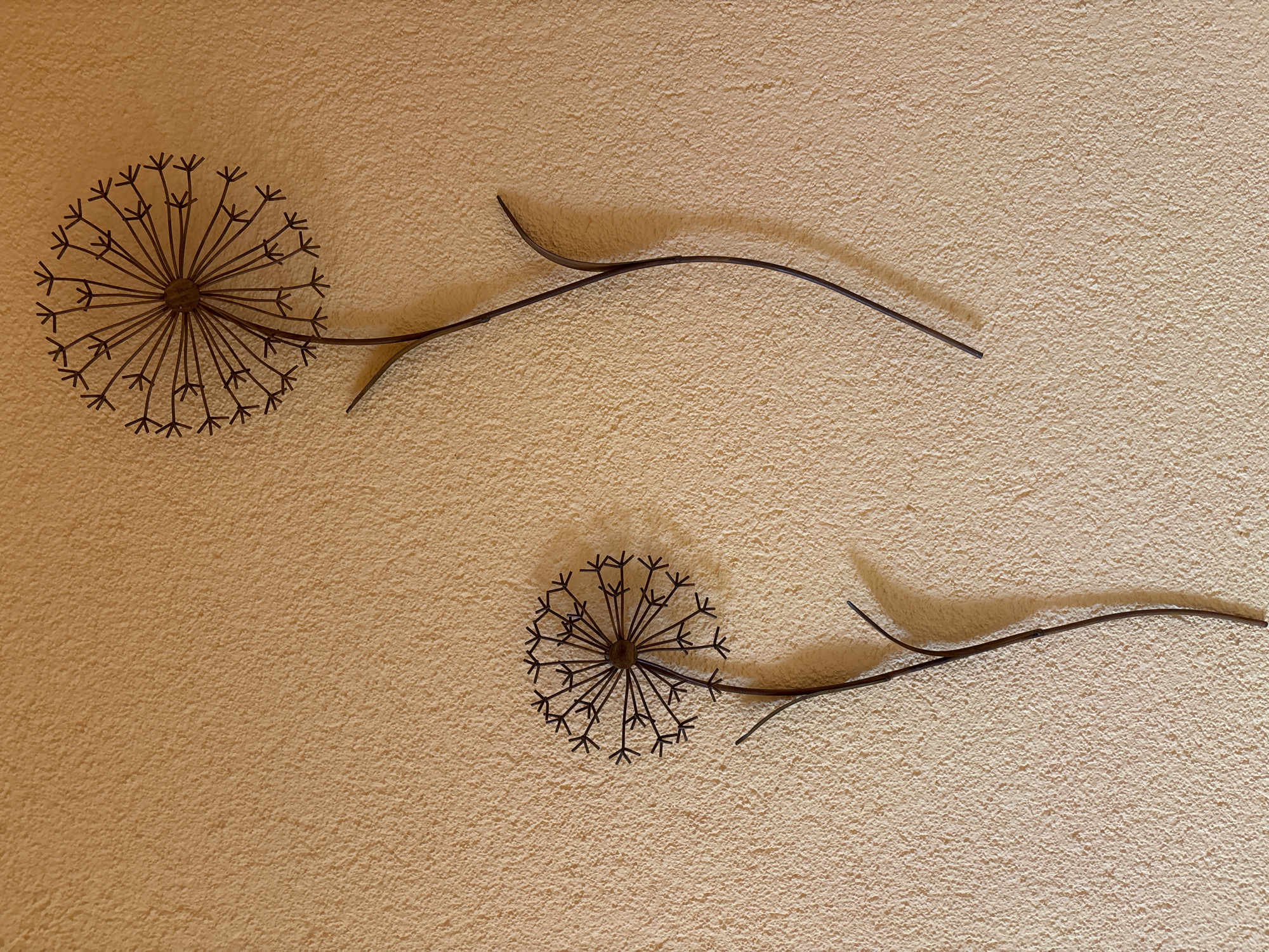 The image features two decorative metal wall art pieces, stylized as dandelion seed heads with stems, mounted on a textured, light-colored wall. The wall has a rough, stucco-like finish and is painted in a warm, light beige or tan hue.
Each art piece is dark brown or bronze, providing a clear contrast against the lighter wall. The dandelion heads are circular, formed by numerous thin metal spokes radiating from a central point, with the ends of the spokes slightly flared to mimic seeds. From each head, a long, slender, and gently curved metal stem extends.
The upper dandelion piece is positioned in the upper left portion of the frame, with its stem curving towards the mid-right. The second dandelion is located below and slightly to the right of the first, with its stem also curving towards the right. Both metallic decorations cast distinct, elongated shadows on the wall, indicating an off-camera light source and adding depth to the composition.
There is no activity depicted, and no people or visible text are present. The scene is a static interior setting, likely a room in a home or commercial space, characterized by its decorative wall accent.
