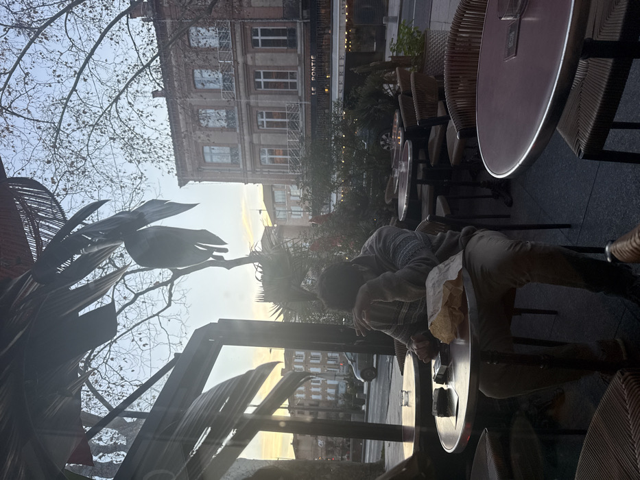 The scene depicts an outdoor cafe seating area on Place du Vigan in Albi, France, facing the "Le Pontie Brasserie" across a city street. The sky is bright, indicating late afternoon or early evening.
In the foreground, an individual is seated at a small, round metal table with a dark top, positioned within a partially enclosed outdoor terrace. The person, with dark, curly hair, wears a patterned sweater (grey, white, and blue-green tones) and khaki trousers. Their head is bowed, and their right hand is raised, holding a lit cigarette, with a visible plume of smoke. On the table in front of them are a crumpled brown paper bag, a pack of cigarettes, and a lighter. A rattan-style chair with a metal frame is occupied by the individual. Other similar empty tables and chairs are visible around them, with an ashtray on an adjacent table to the left. The scene is framed by large, dark, metallic leaf-shaped decor elements hanging from an overhead structure, partially obscuring the upper left and center of the frame.
Beyond the cafe's immediate area, a paved street is visible. A dark-colored vehicle is parked or moving slowly on the left side of the street. Across the street stands a multi-story building with reddish-brown facades, featuring multiple windows with light frames and small wrought-iron balconies. The ground floor of this building clearly displays the illuminated signs "LE PONTIE" and "BRASSERIE." Bare tree branches are visible against the sky, suggesting winter or early spring. Several green bushes or small potted trees are placed along the street and within the cafe's exterior area. Light reflections are noticeable on the glass enclosure of the cafe, particularly on the left.