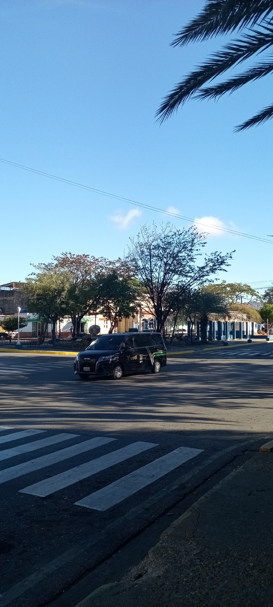 The image depicts a street scene in an unknown city. A dark-colored minivan is driving across a pedestrian crosswalk. In the background, there are trees and buildings, including a gazebo-like structure with a thatched roof. A palm tree is partially visible in the upper right corner of the image. The sky is blue with a few scattered clouds. Overhead wires are present.