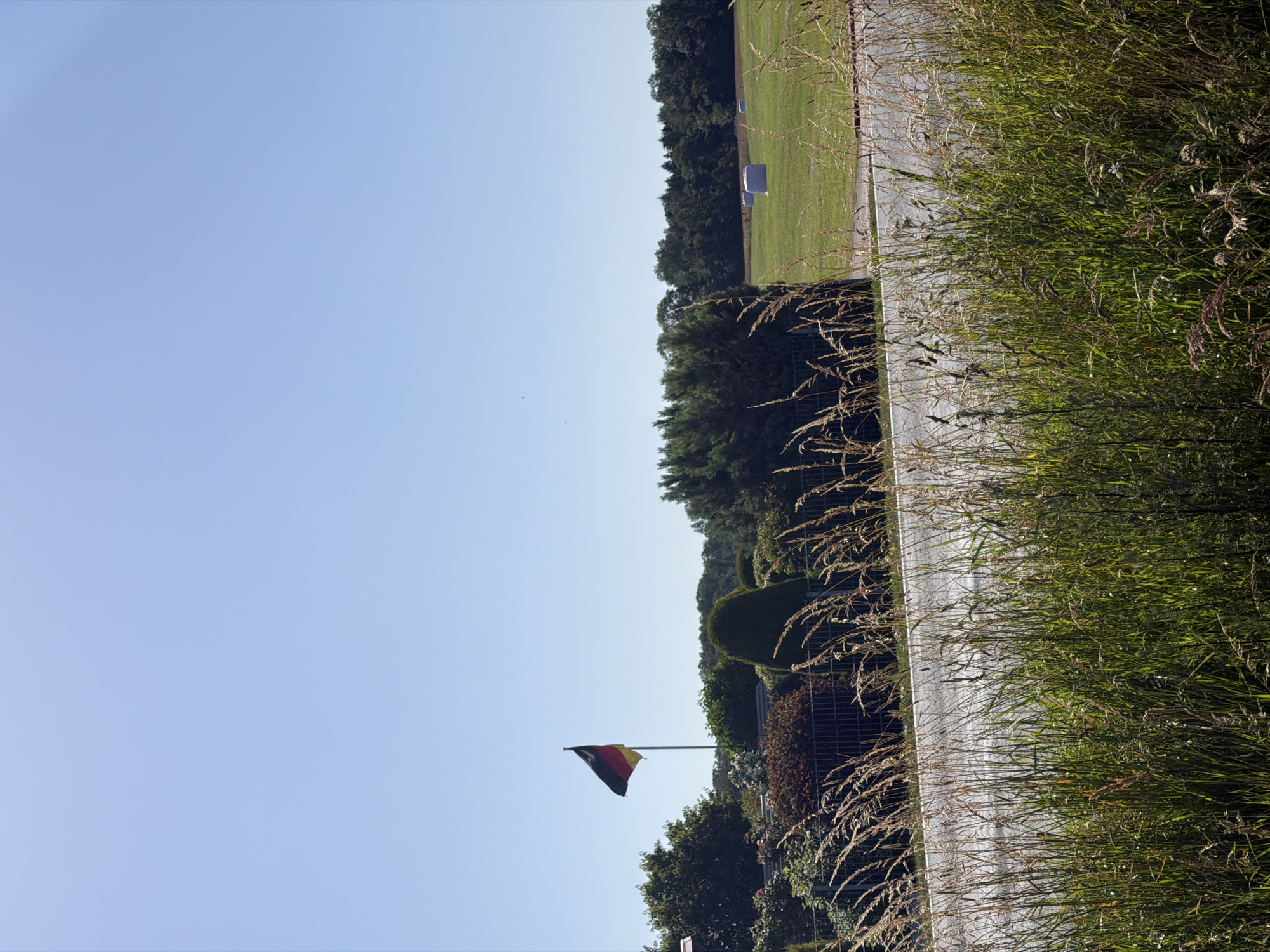 This is a vertical, full-shot image of an outdoor scene. The sky occupies the left two-thirds of the frame and is clear and blue. The right third of the frame is filled with tall, dry grass in the foreground, which gives way to a paved path, a green field, and a line of trees in the background.
On the far right, a German flag, consisting of three horizontal bands of black, red, and yellow, is flying from a flagpole. The flag is angled and appears to be catching a gentle breeze. Behind the flag and the path, there is a dense line of dark green trees and bushes, with some trimmed hedges visible. In the distance, on the green field, there are a few white rectangular signs or markers.
The lighting suggests it is daytime, with the sun casting a slight shadow from the grass onto the path. The overall impression is one of a sunny, clear day in a park-like setting. There is no visible text in the image.