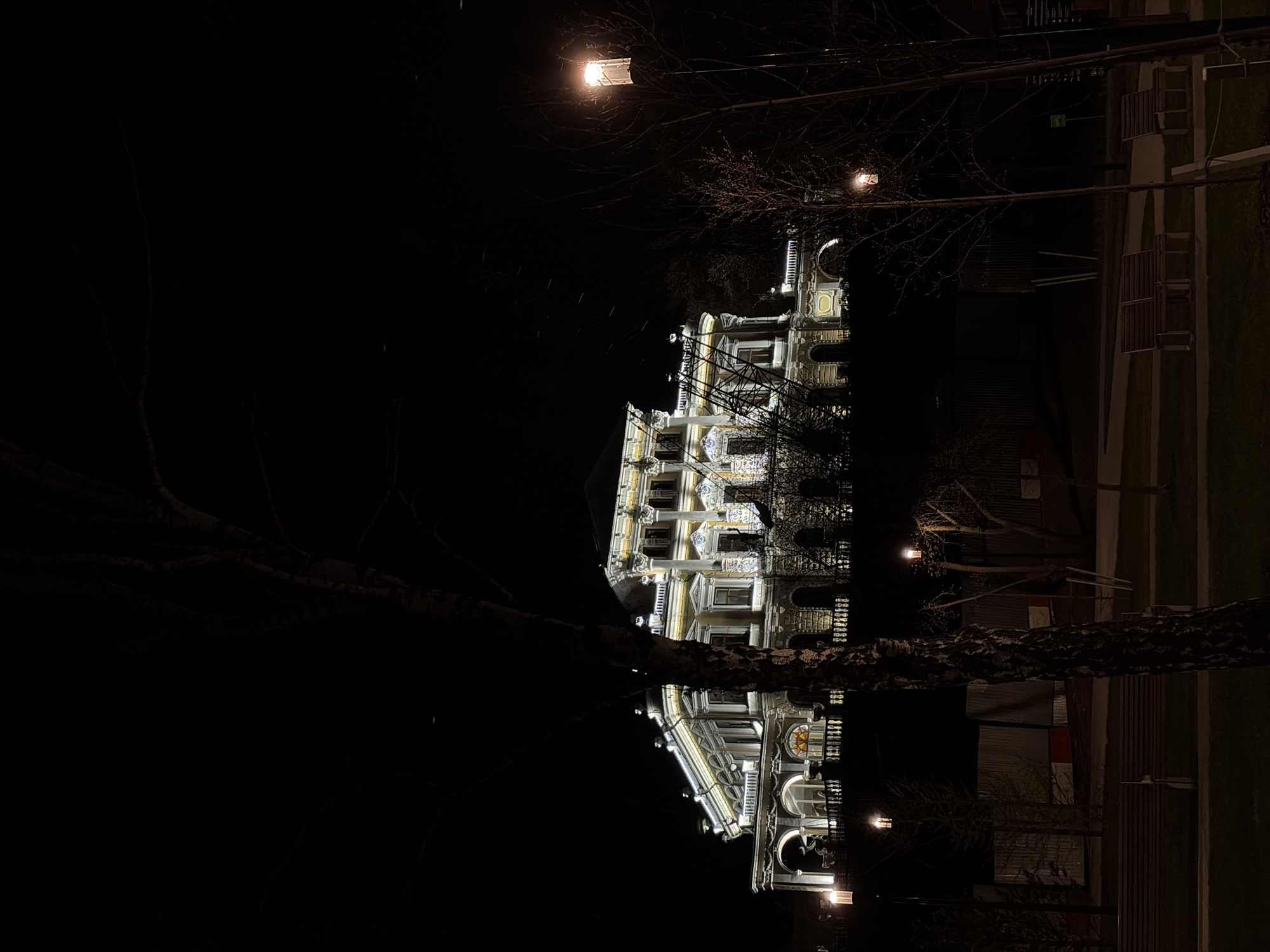 The image shows the Dom Meshkova, a historical building in Perm, Russia, at night. The building is illuminated, showcasing its ornate facade. Bare trees frame the building, and streetlights are visible. The sky is dark, suggesting a nighttime setting. Part of the building's mirrored reflection can be seen. A dark, tree trunk is visible in the foreground. The scene appears to be a still photograph taken in a park or landscaped area near the building. Some benches are visible on the right.
